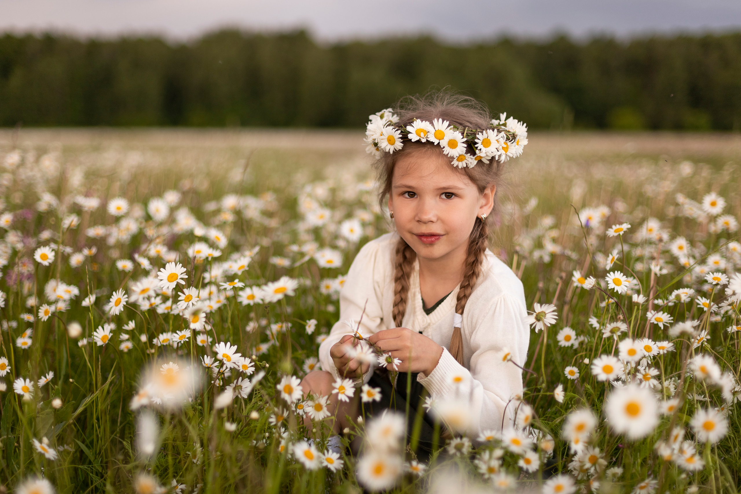 Ромашки. Юлия Разваркина фотограф Подольск