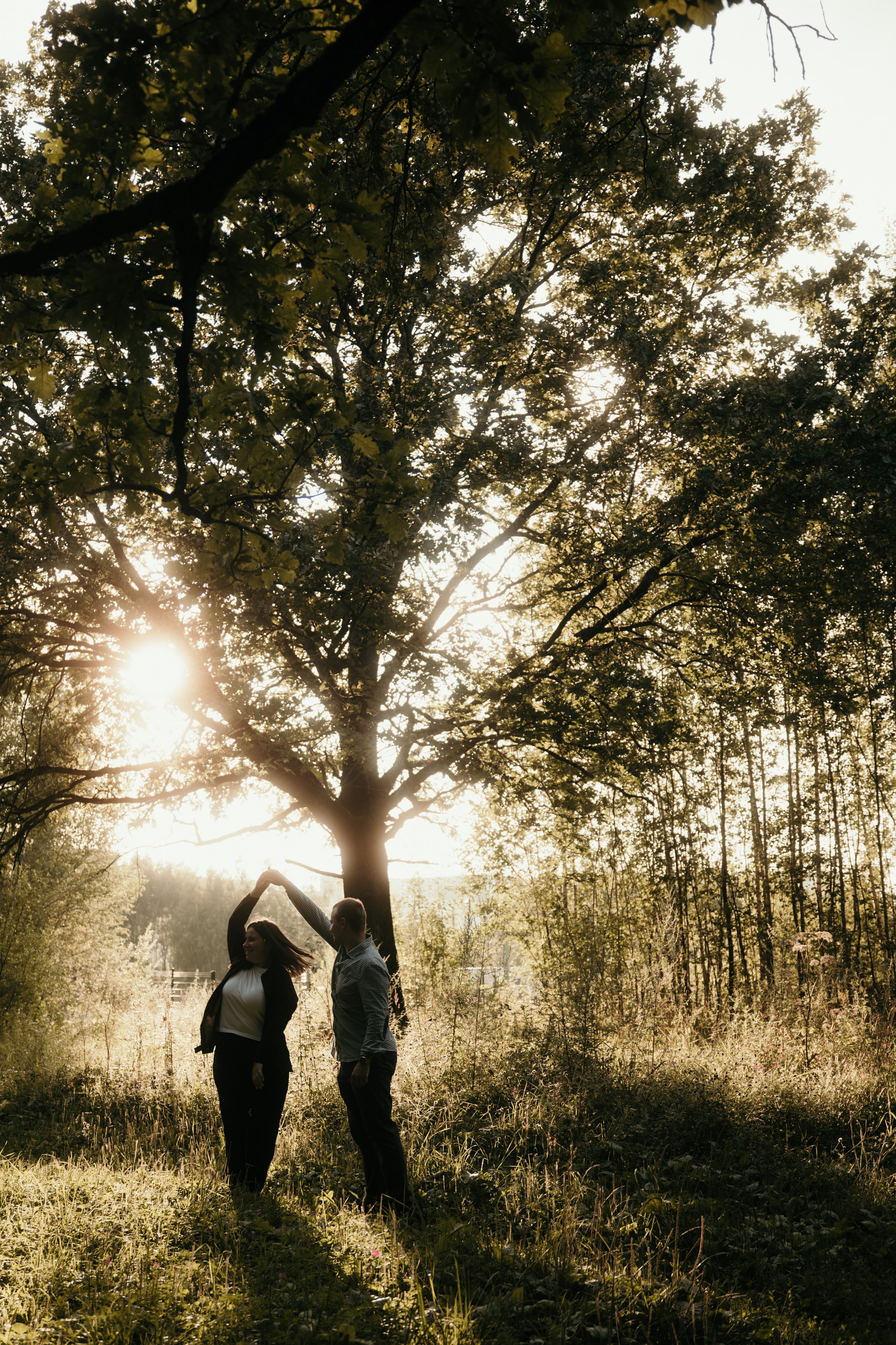 Солнечный вечер в лесу. Фотограф и видеограф Мария Банщикова, Солнечногорск, Москва