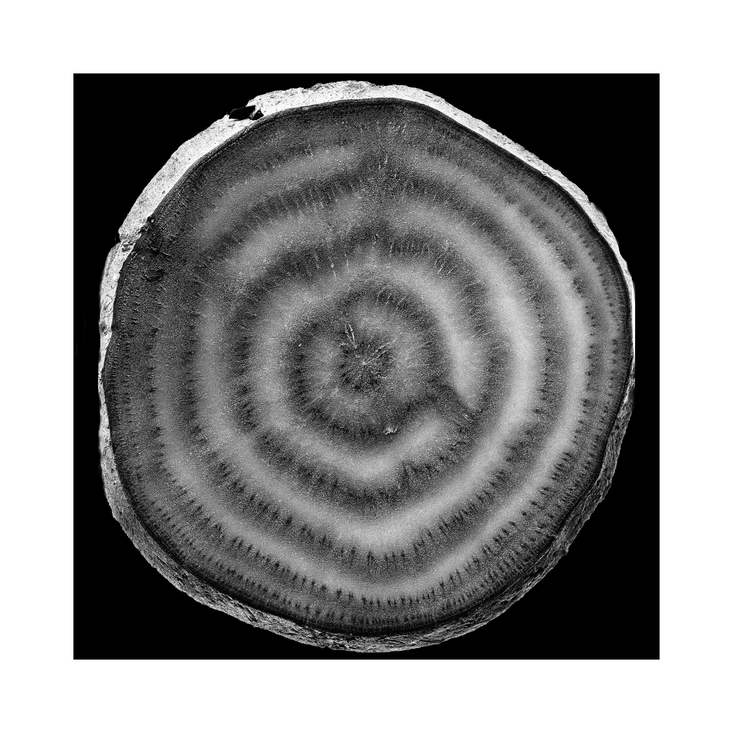 Фотопроект «Круги жизни». Портретный фотограф в Челябинске Катерина Руди