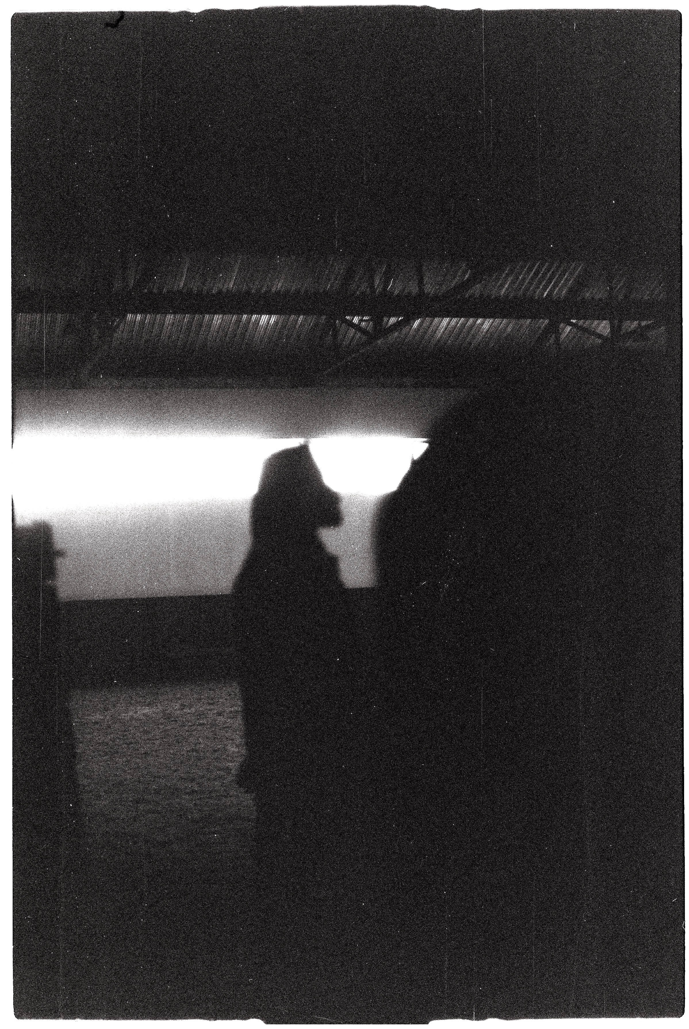 VLADIMIR. MARK DOROHOV