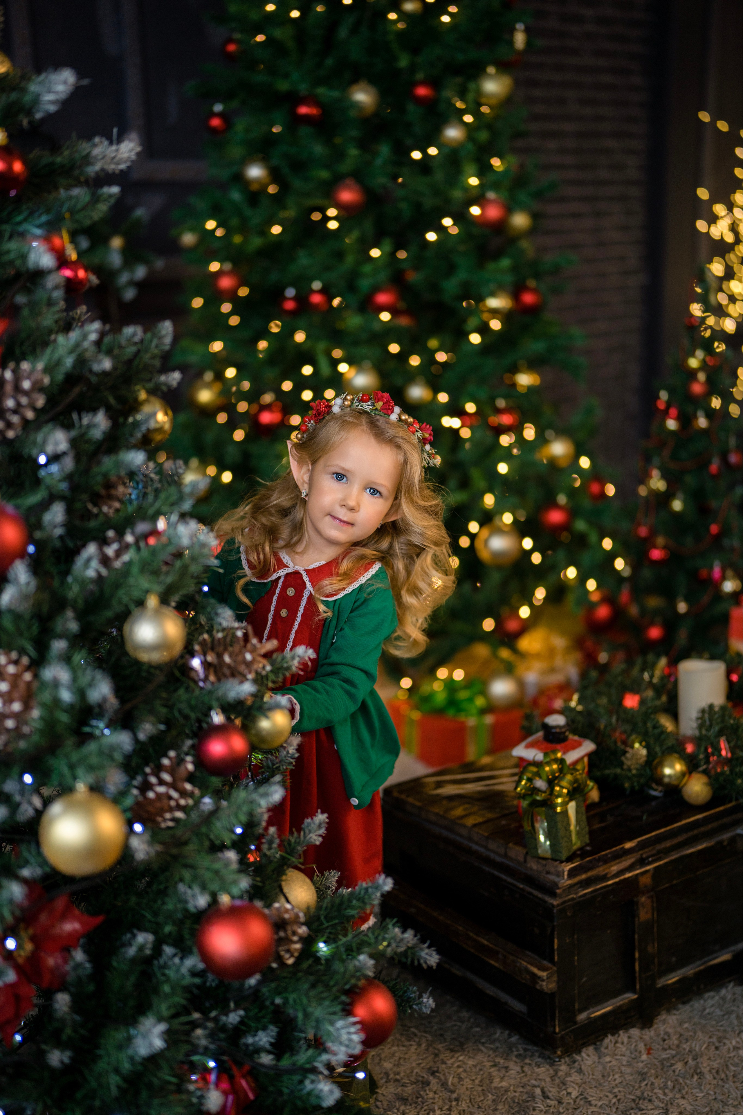 Тайны Рождества. Ваш фотограф Tetiana Kolos, найду самый удачный ракурс и словлю момент