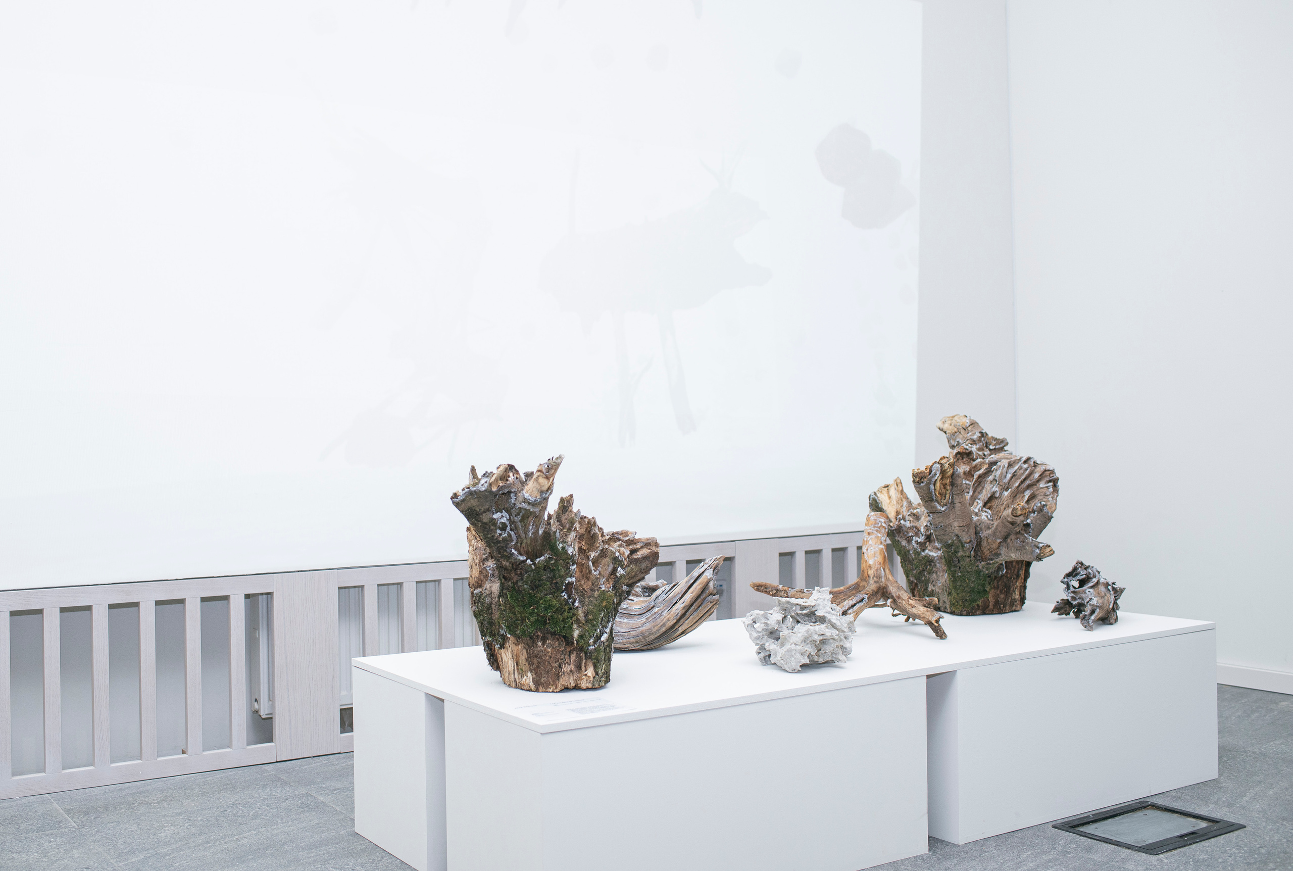 Выставка в музее–усадьбе Архангельское «Свет и воздух» Школа Дизайна НИУ ВШЭ. Фотограф в Москве Алейникова Евгения