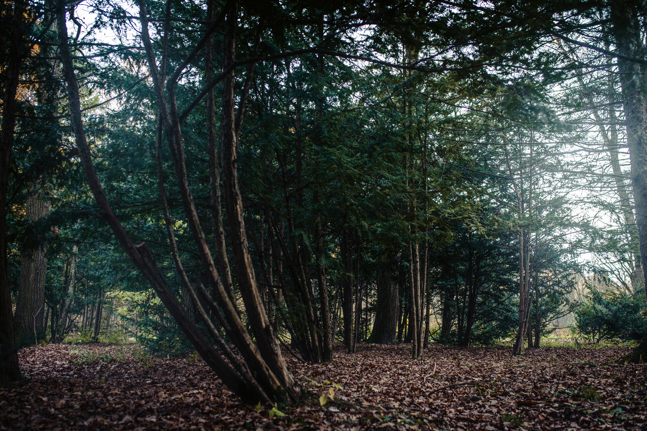 Being (study progect). Фотограф в Москве Алейникова Евгения