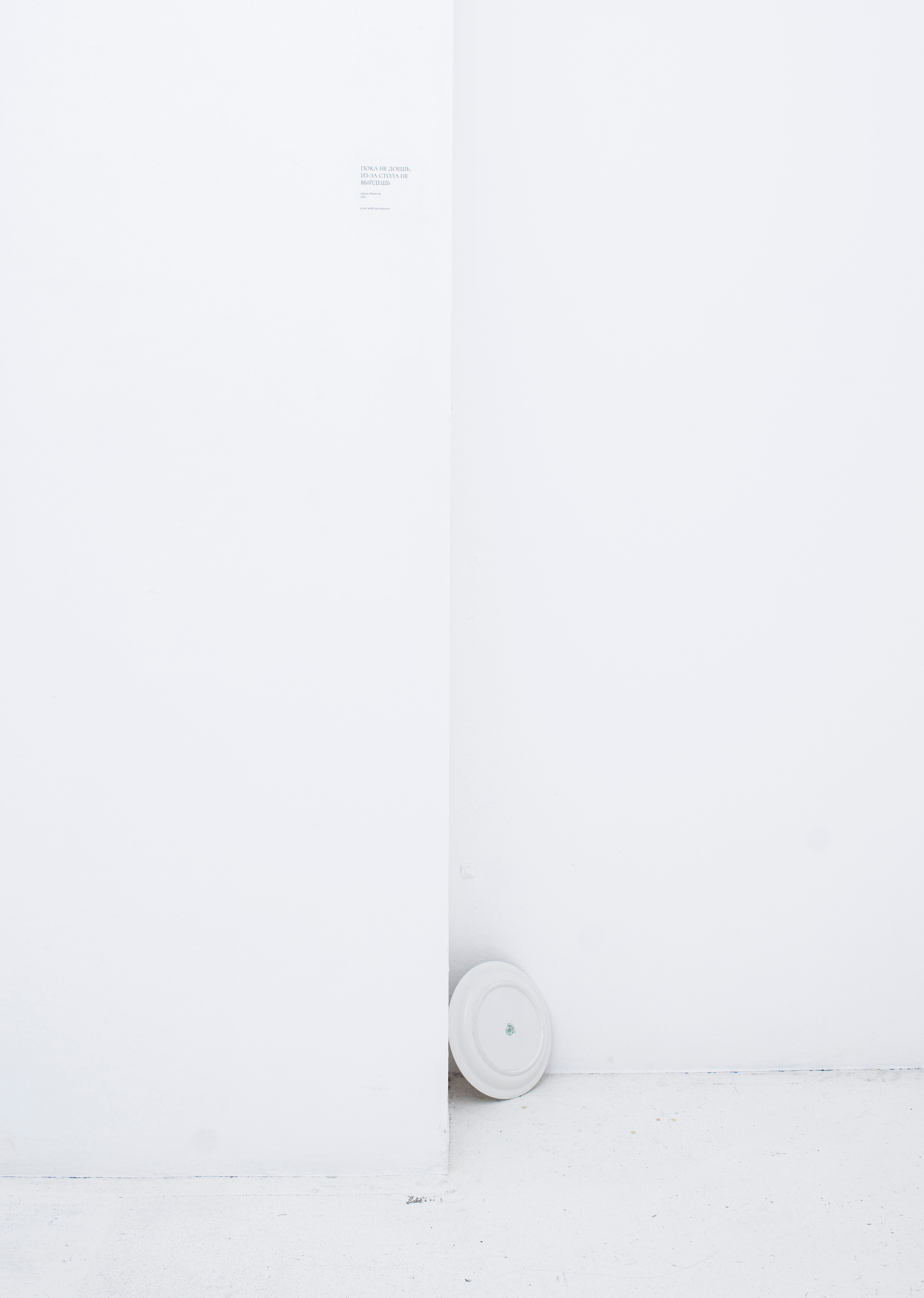 «Детство». Фотограф в Москве Алейникова Евгения