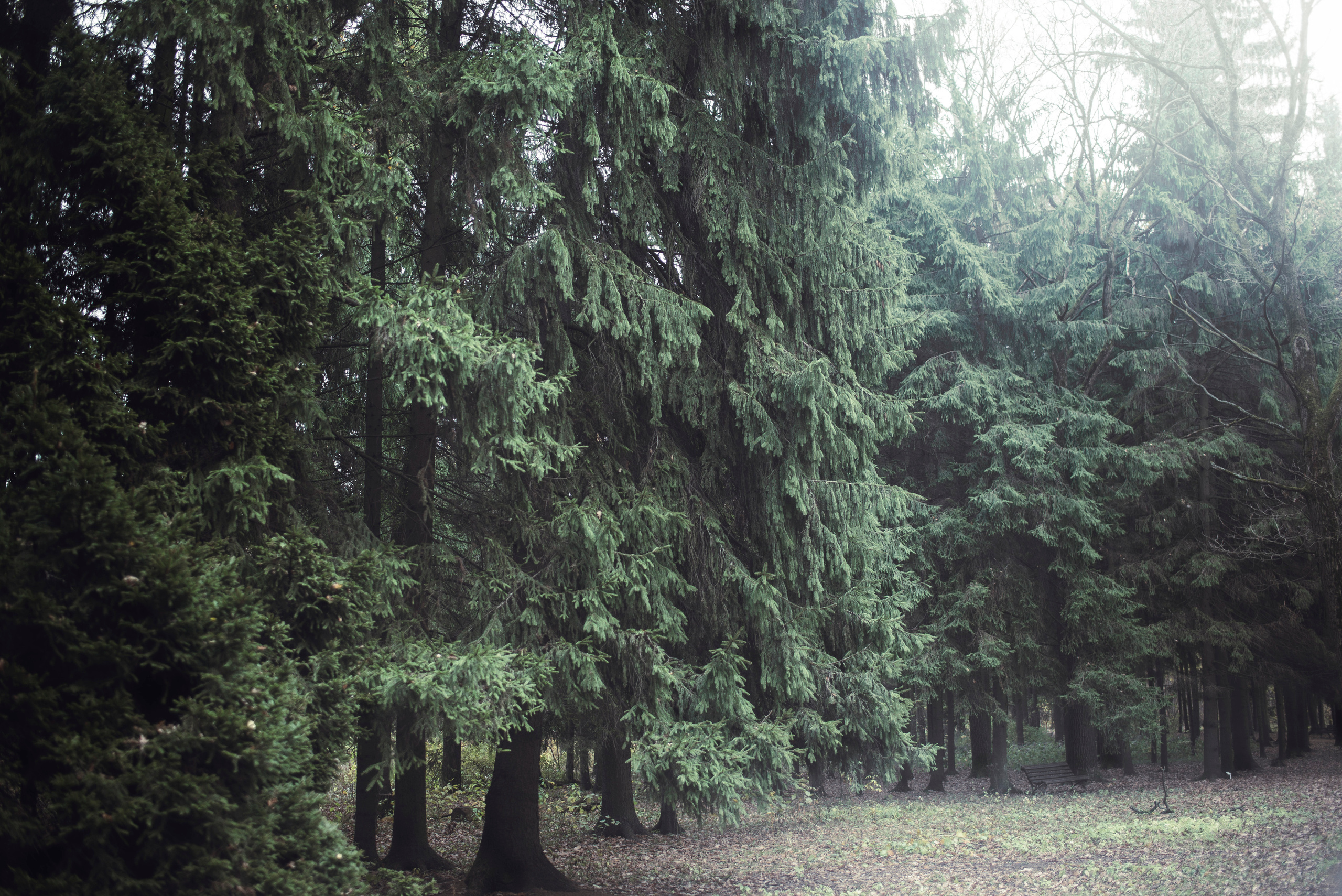 Being (study progect). Фотограф в Москве Алейникова Евгения