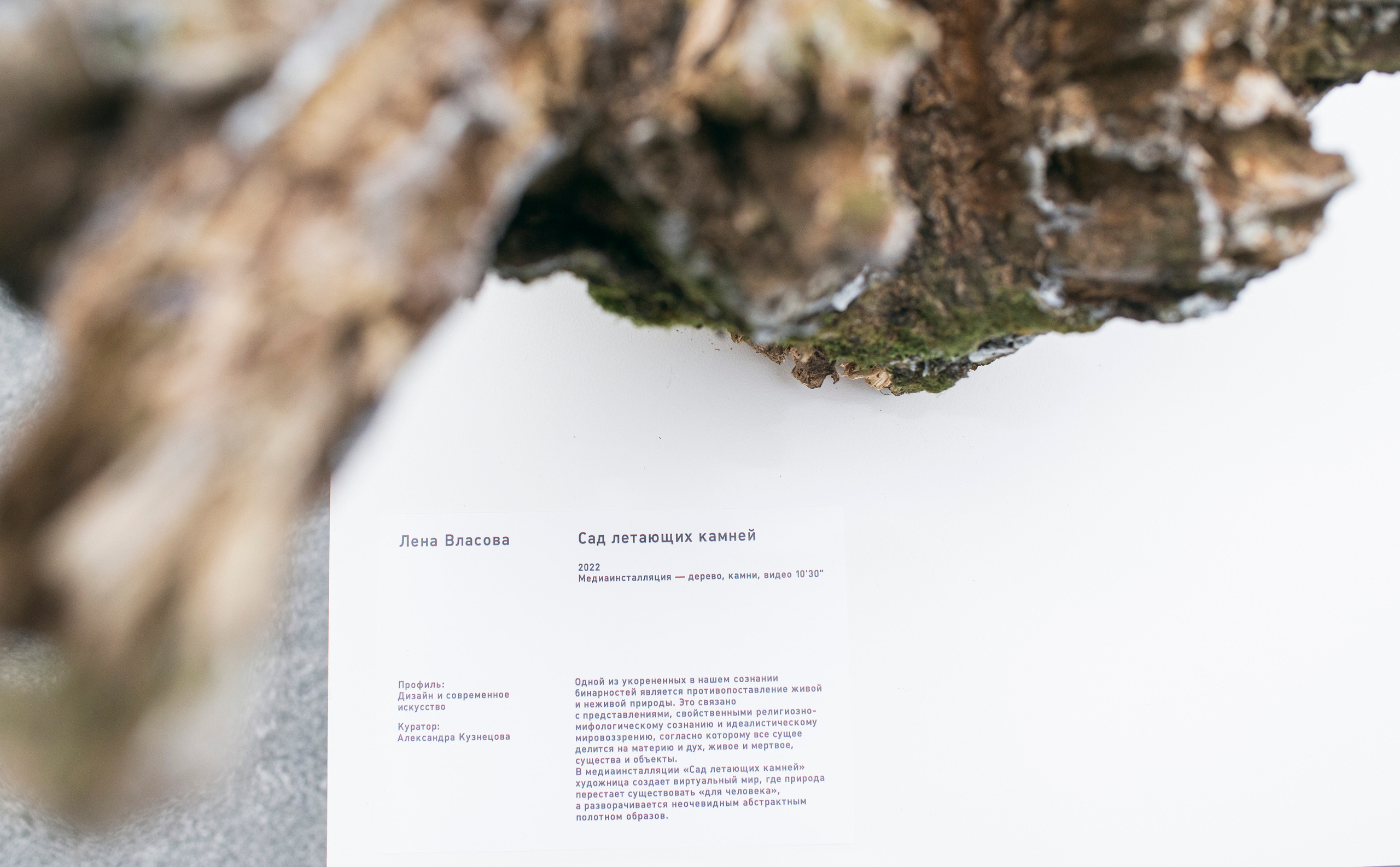 Выставка в музее–усадьбе Архангельское «Свет и воздух» Школа Дизайна НИУ ВШЭ. Фотограф в Москве Алейникова Евгения