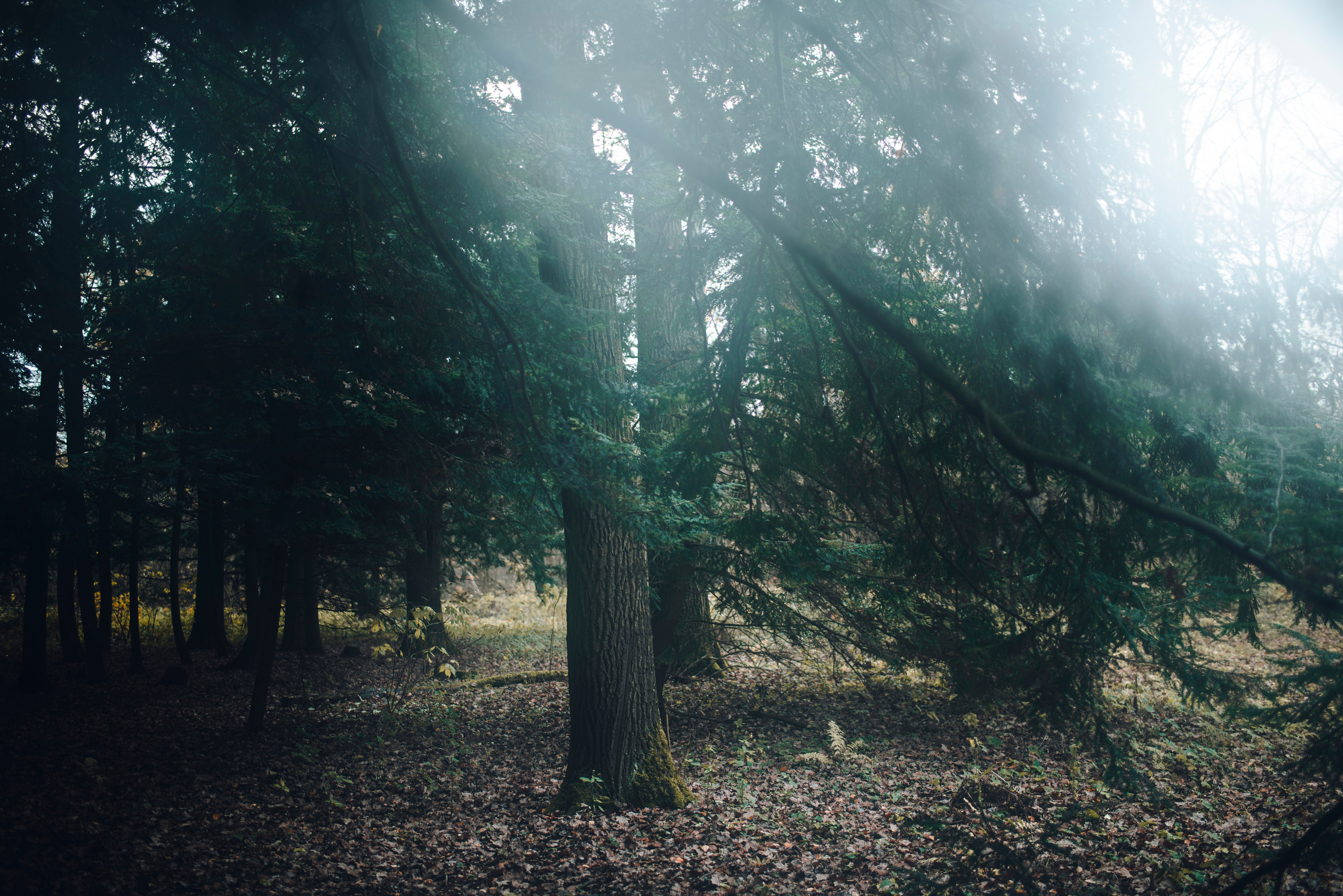 Being (study progect). Фотограф в Москве Алейникова Евгения