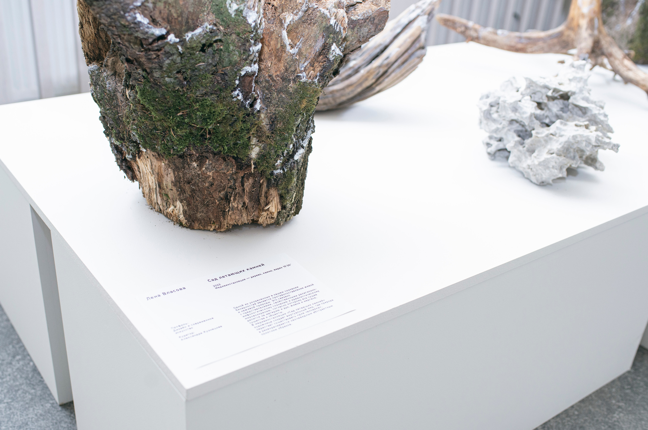 Выставка в музее–усадьбе Архангельское «Свет и воздух» Школа Дизайна НИУ ВШЭ. Фотограф в Москве Алейникова Евгения