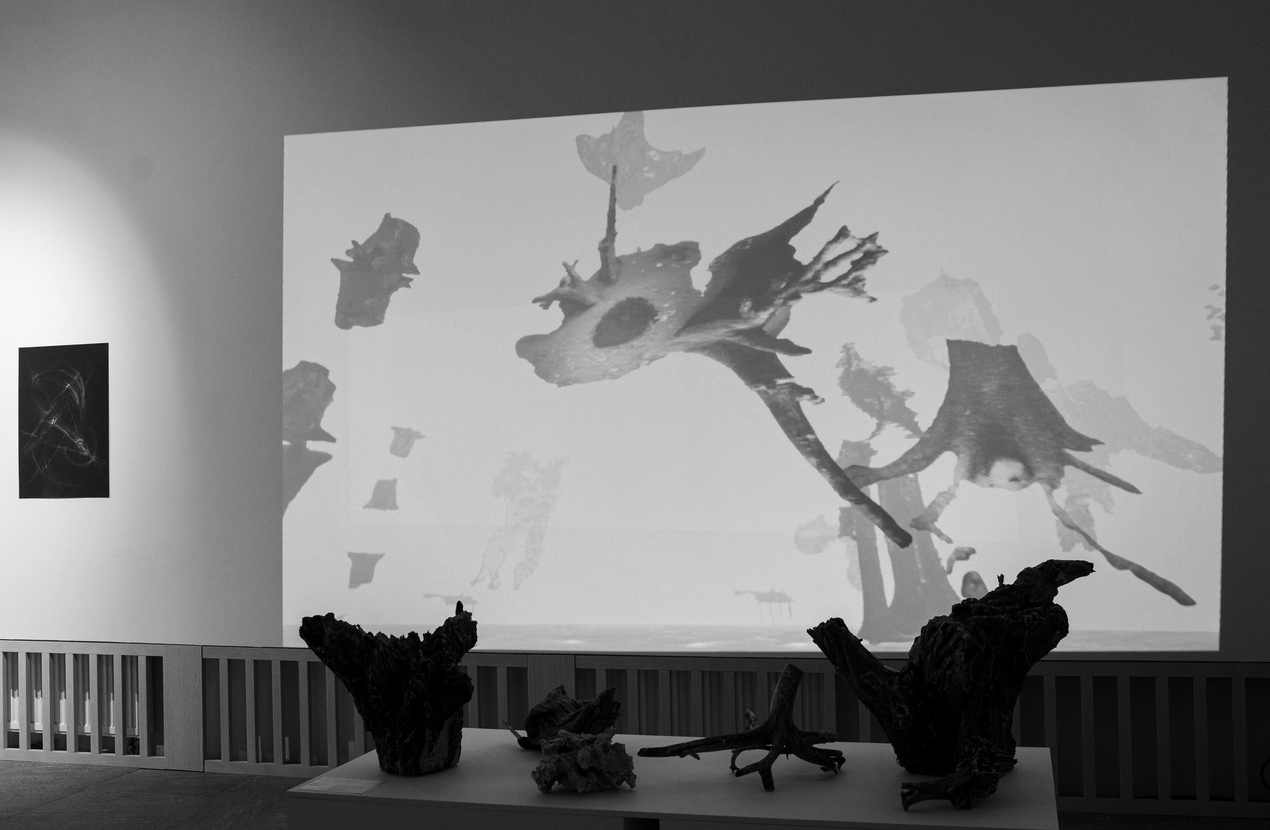 Выставка в музее–усадьбе Архангельское «Свет и воздух» Школа Дизайна НИУ ВШЭ. Фотограф в Москве Алейникова Евгения