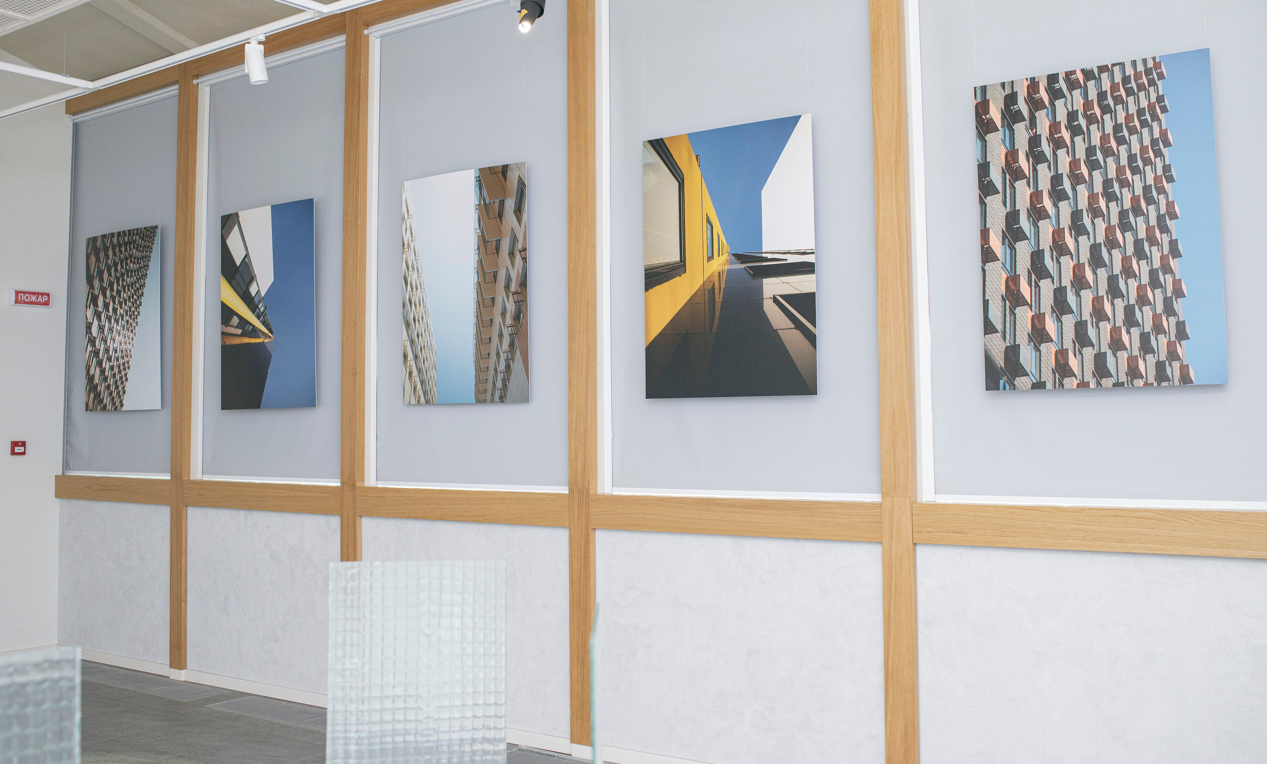 Выставка в музее–усадьбе Архангельское «Свет и воздух» Школа Дизайна НИУ ВШЭ. Фотограф в Москве Алейникова Евгения