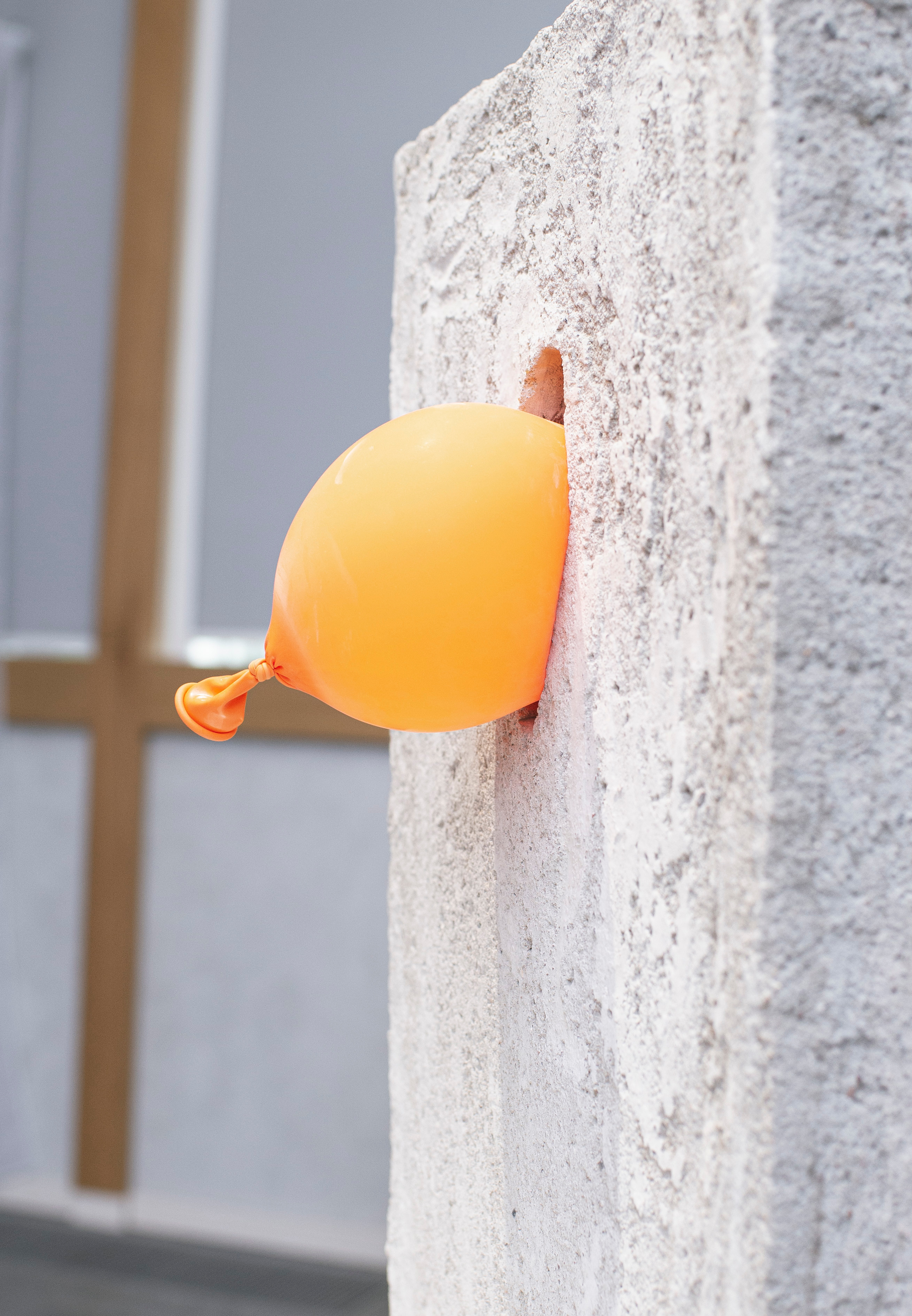 Выставка в музее–усадьбе Архангельское «Свет и воздух» Школа Дизайна НИУ ВШЭ. Фотограф в Москве Алейникова Евгения