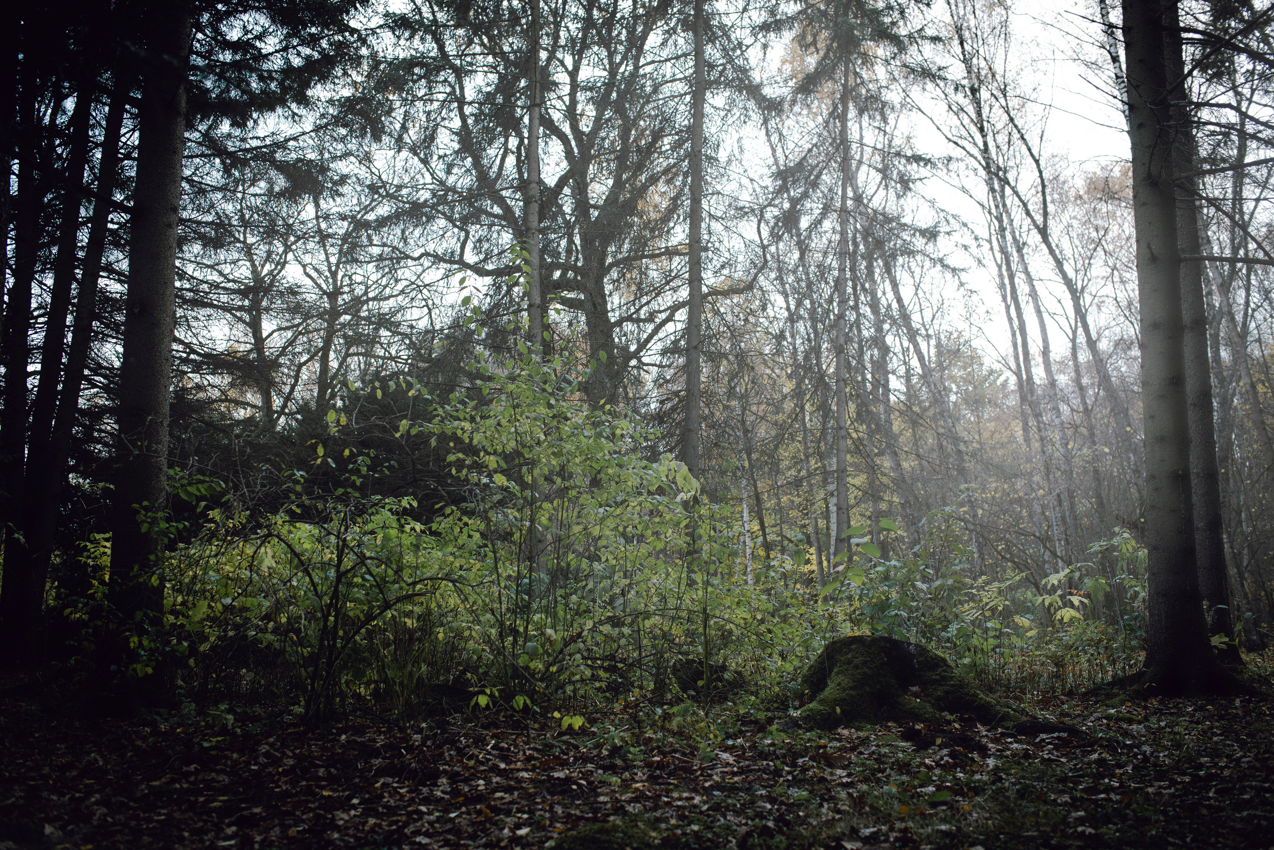 Being (study progect). Фотограф в Москве Алейникова Евгения