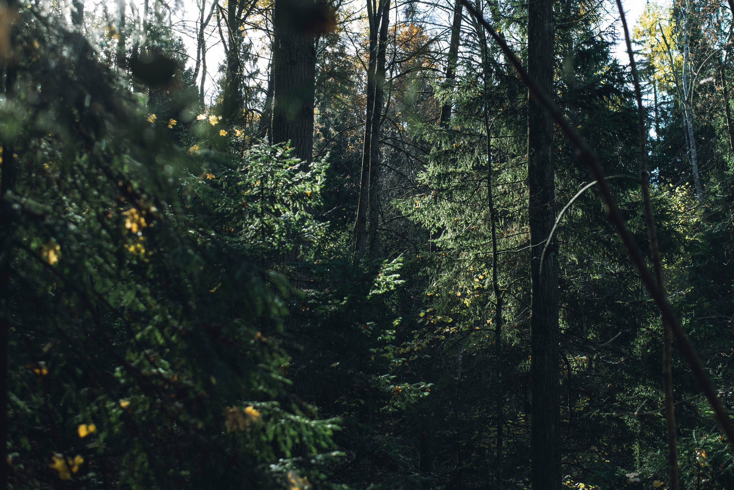 Being (study progect). Фотограф в Москве Алейникова Евгения