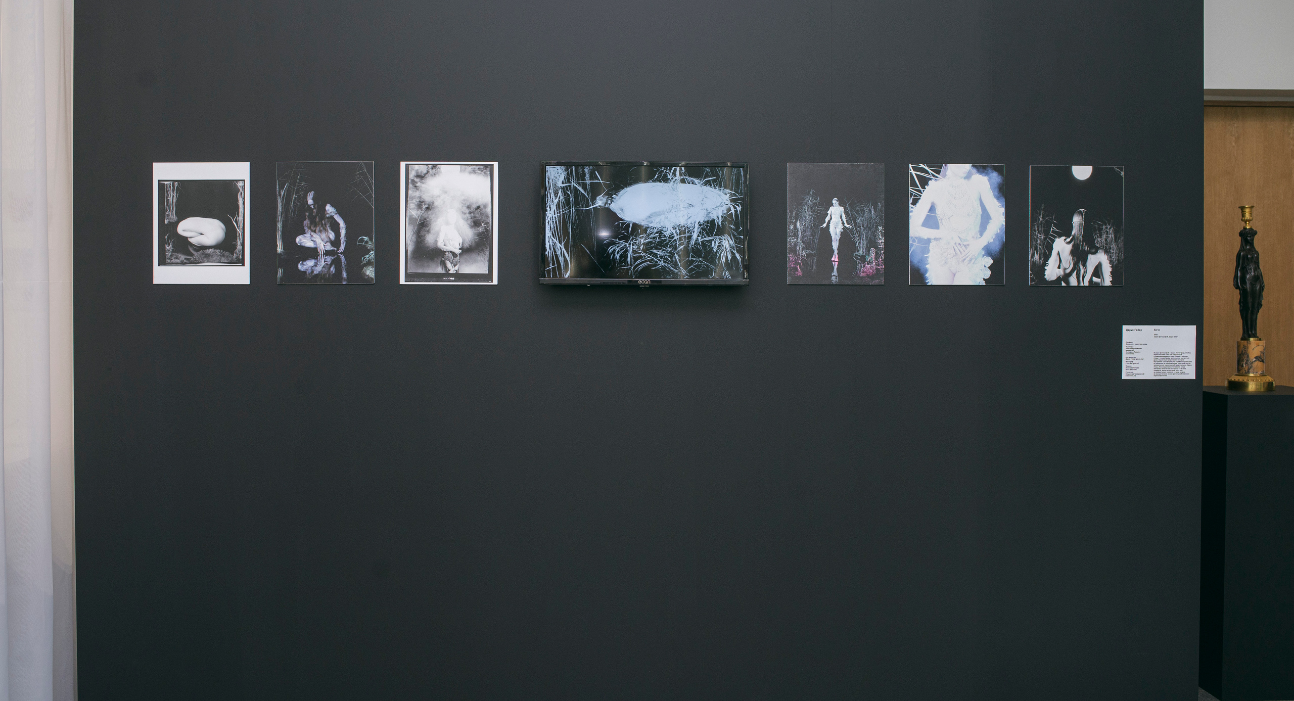 Выставка в музее–усадьбе Архангельское «Свет и воздух» Школа Дизайна НИУ ВШЭ. Фотограф в Москве Алейникова Евгения