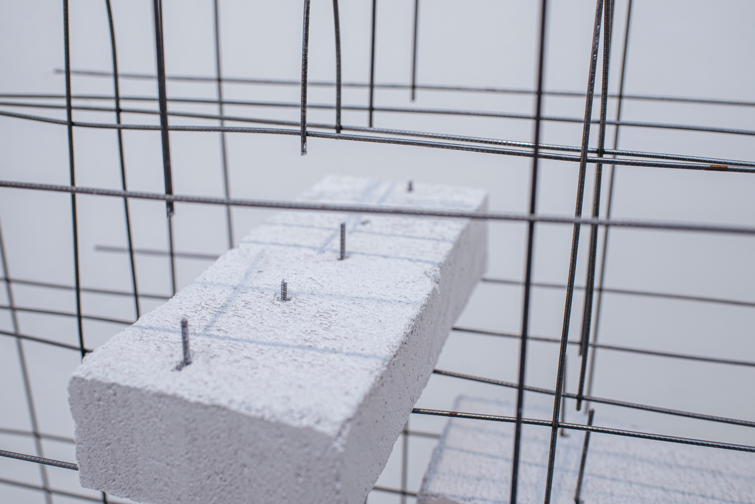 «Среда Заданного уровня». Фотограф в Москве Алейникова Евгения