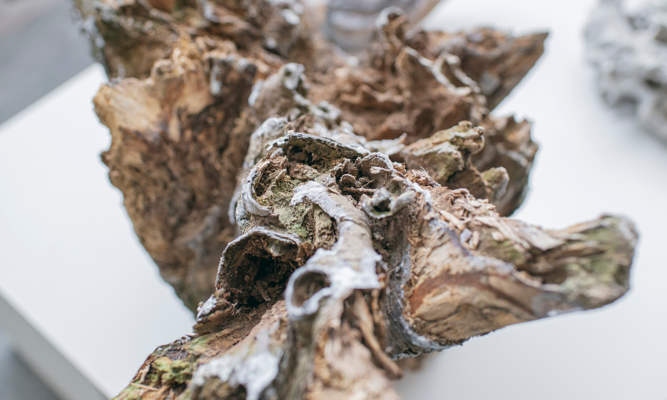 Выставка в музее–усадьбе Архангельское «Свет и воздух» Школа Дизайна НИУ ВШЭ. Фотограф в Москве Алейникова Евгения