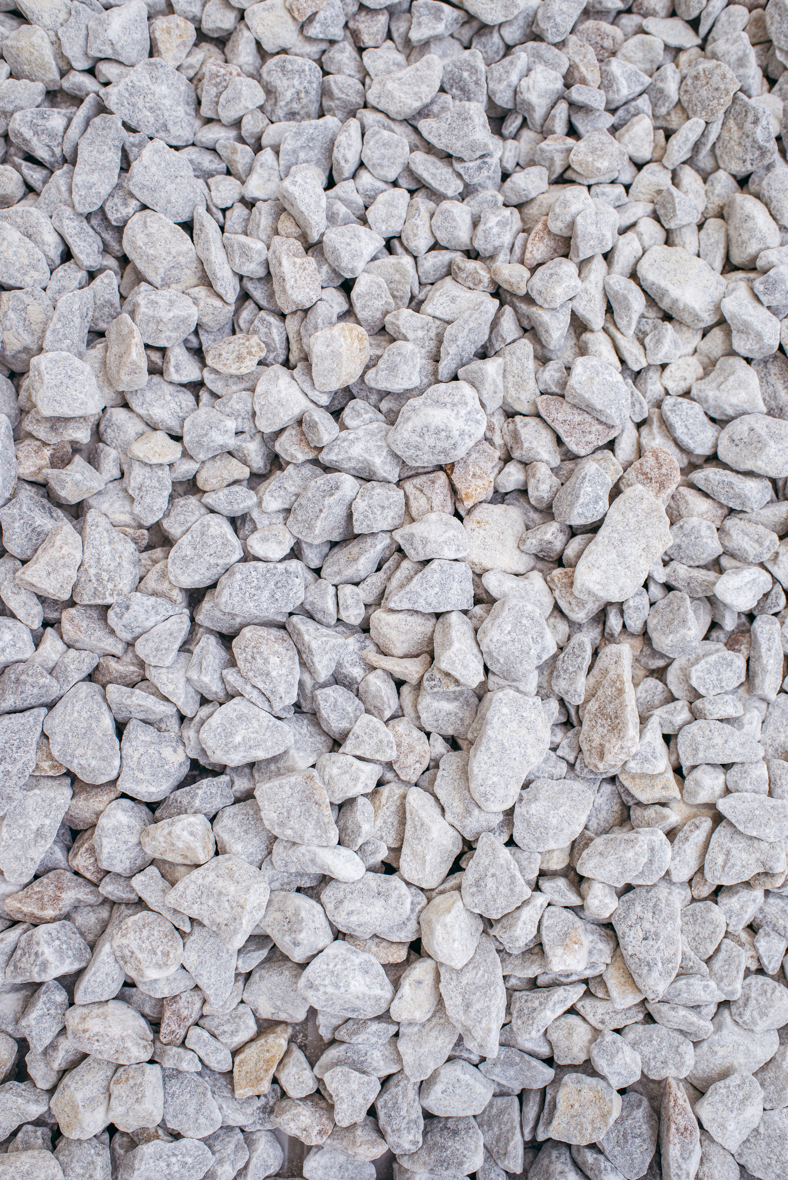 «Среда Заданного уровня». Фотограф в Москве Алейникова Евгения