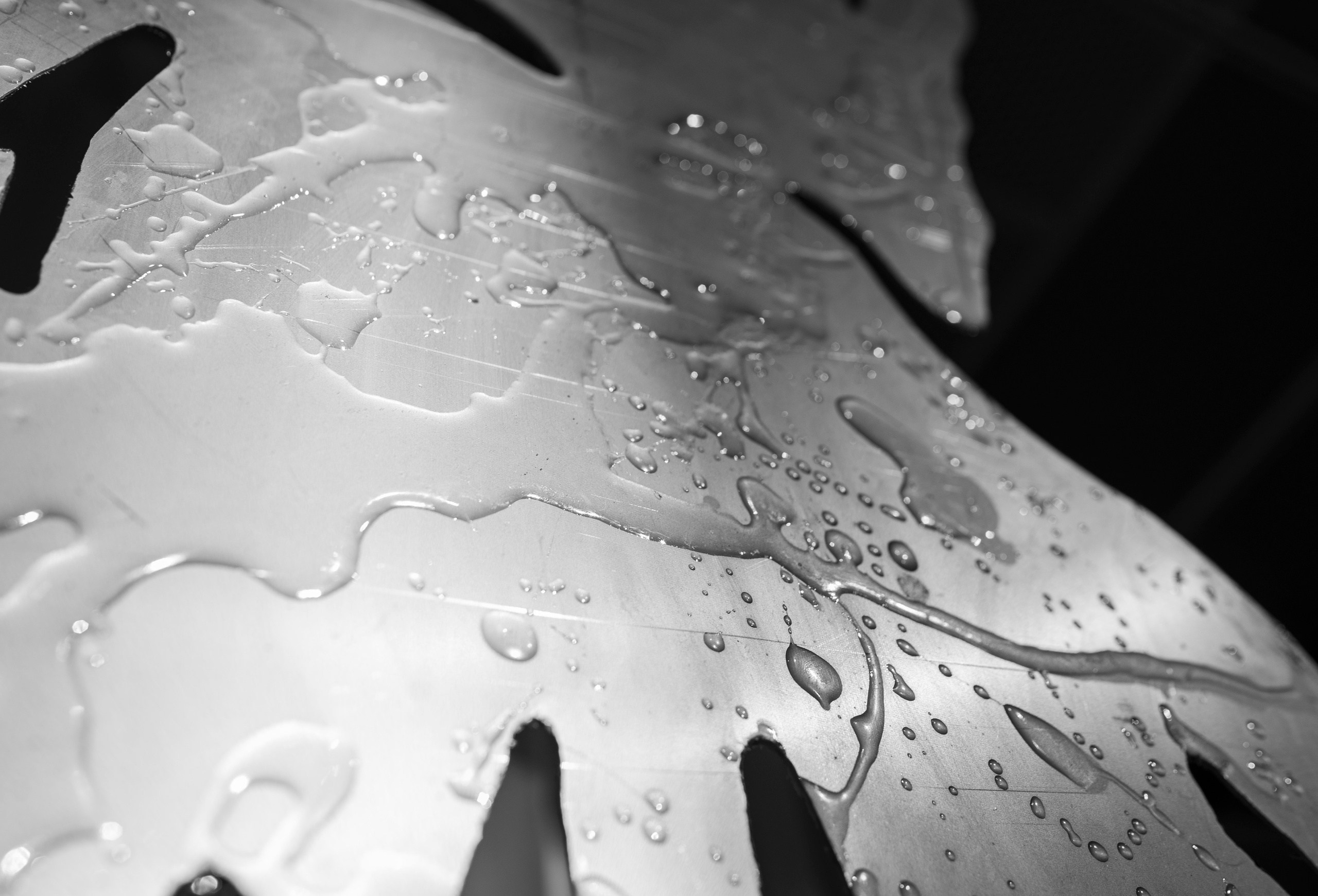 Выставка «Свет и воздух"в Архангельском от НИУ ВШЭ Школа Дизайна. Фотограф в Москве Алейникова Евгения