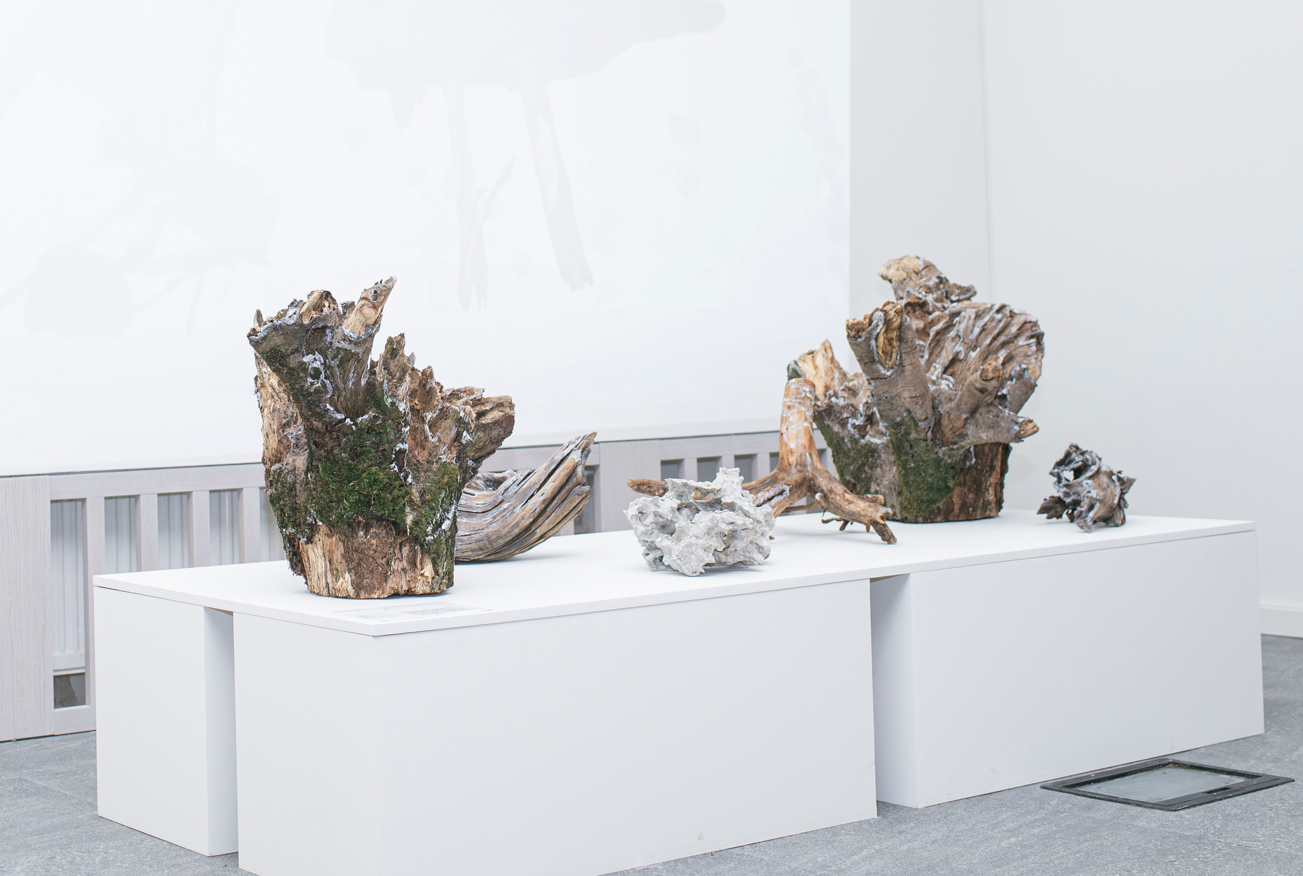 Выставка «Свет и воздух"в Архангельском от НИУ ВШЭ Школа Дизайна. Фотограф в Москве Алейникова Евгения