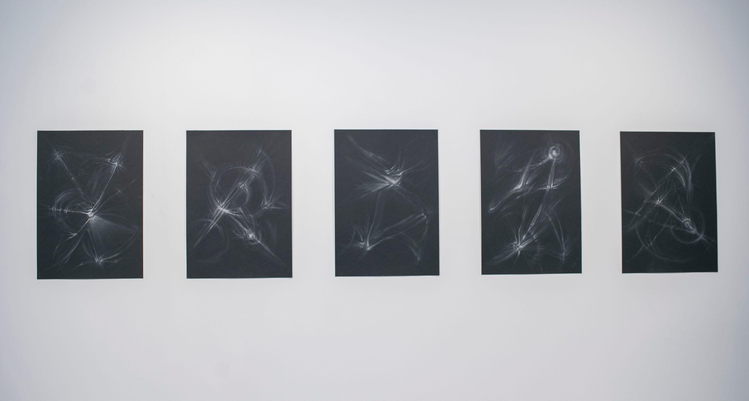 Выставка в музее–усадьбе Архангельское «Свет и воздух» Школа Дизайна НИУ ВШЭ. Фотограф в Москве Алейникова Евгения