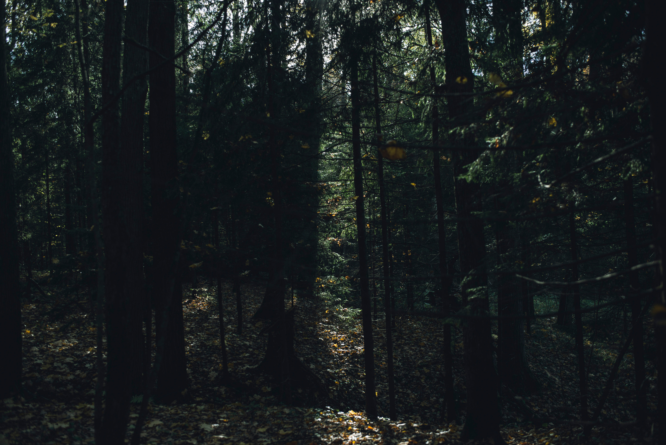 Being (study progect). Фотограф в Москве Алейникова Евгения