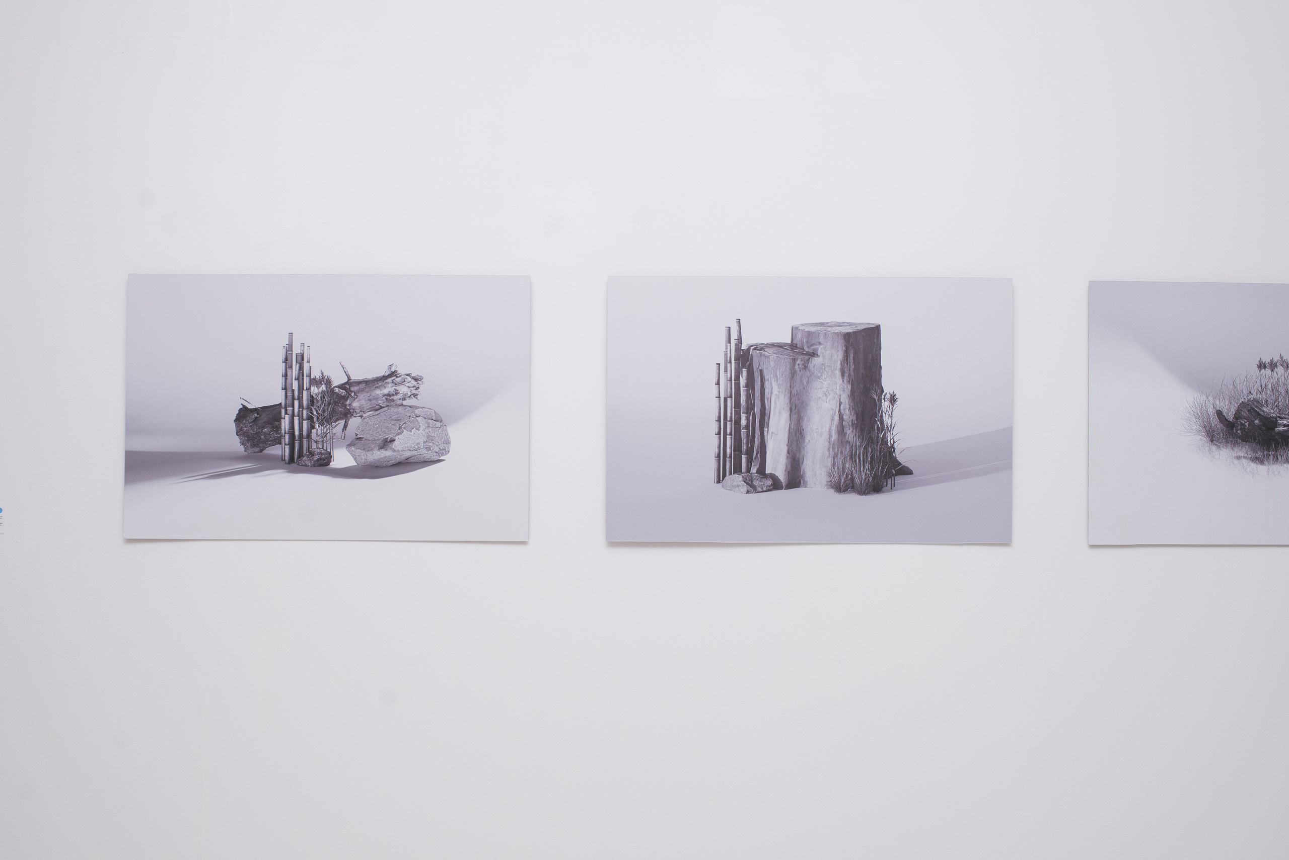 Открытие итоговой выставки в ММСИ Школа Дизайна НИУ ВШЭ. Фотограф в Москве Алейникова Евгения