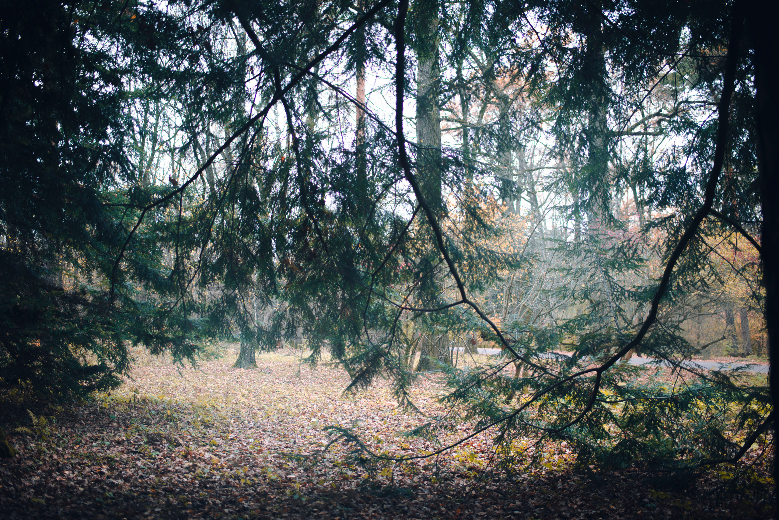 Being (study progect). Фотограф в Москве Алейникова Евгения