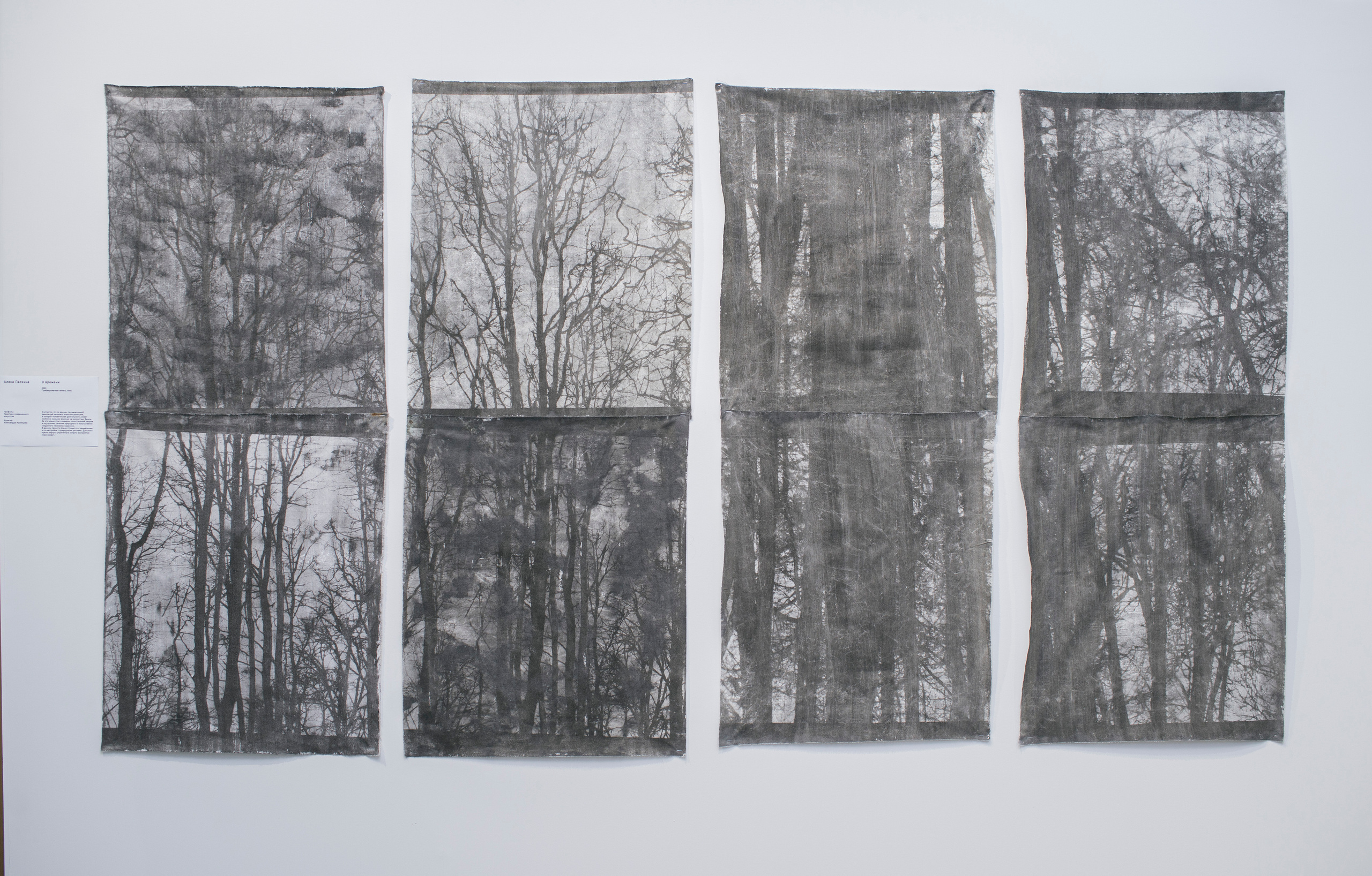 Выставка в музее–усадьбе Архангельское «Свет и воздух» Школа Дизайна НИУ ВШЭ. Фотограф в Москве Алейникова Евгения