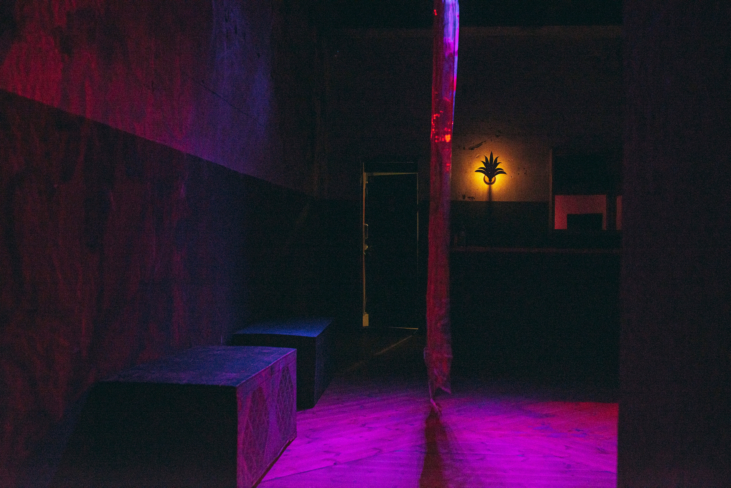 POLE HSE ART DESIGHN. Фотограф в Москве Алейникова Евгения