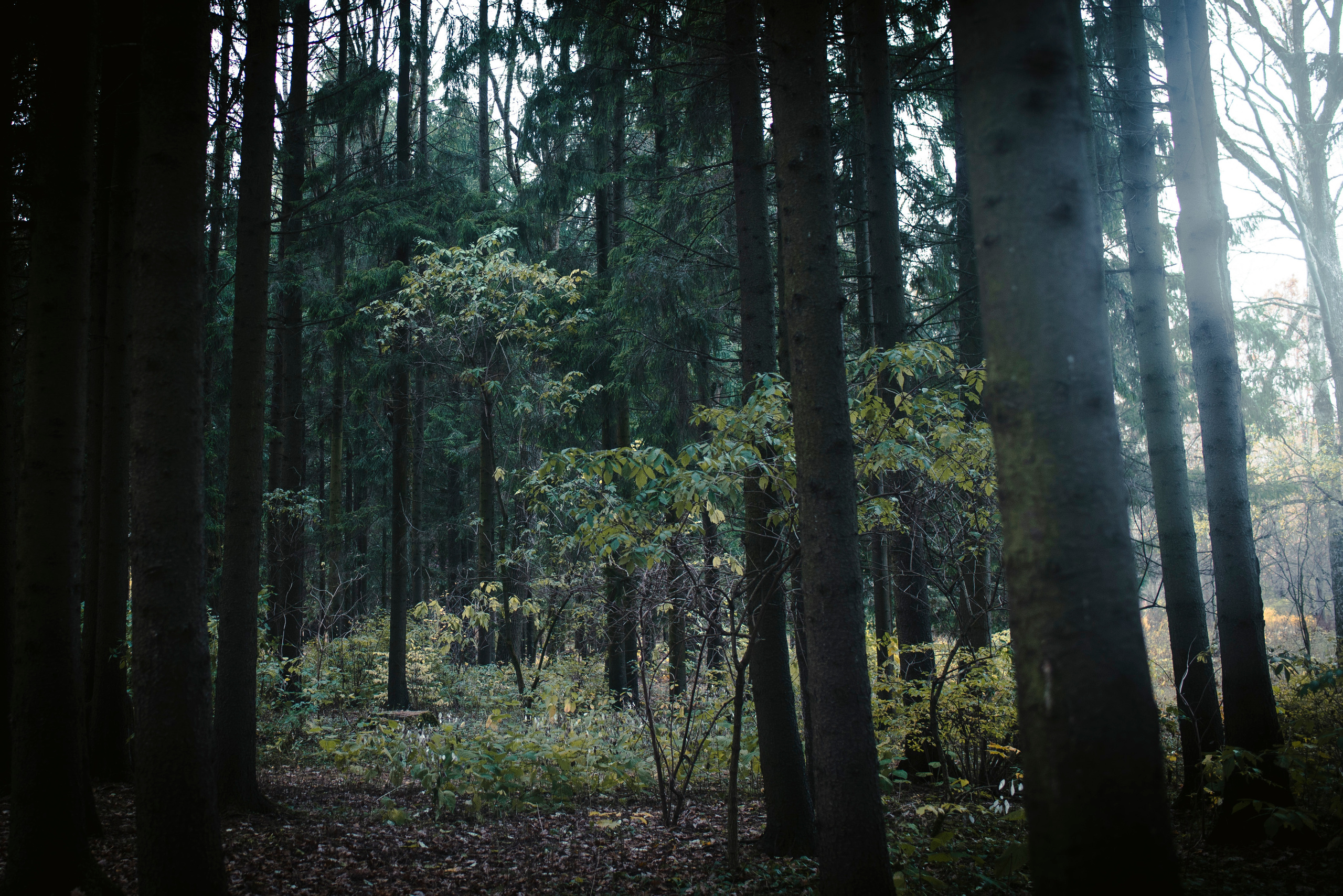 Being (study progect). Фотограф в Москве Алейникова Евгения