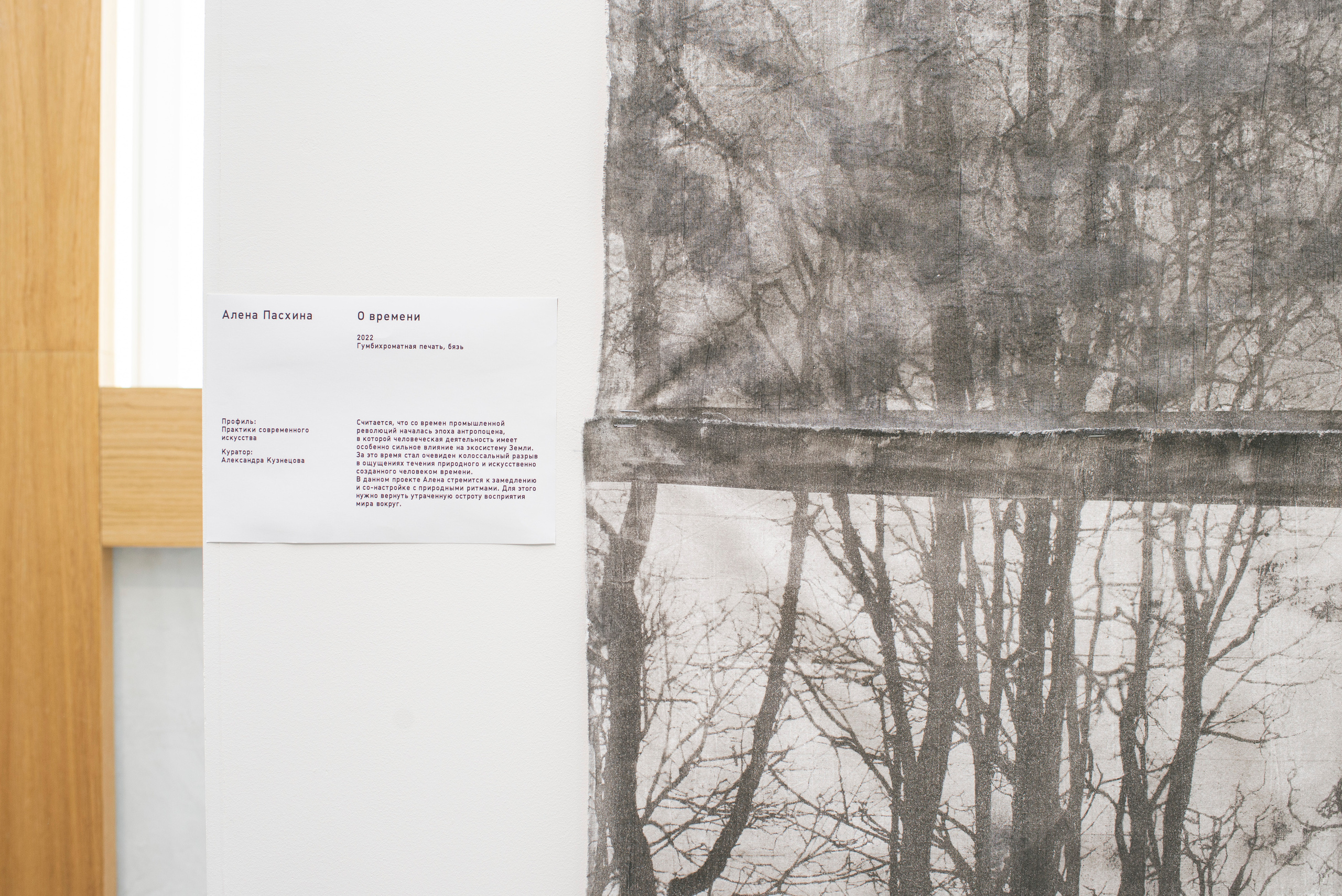 Выставка в музее–усадьбе Архангельское «Свет и воздух» Школа Дизайна НИУ ВШЭ. Фотограф в Москве Алейникова Евгения