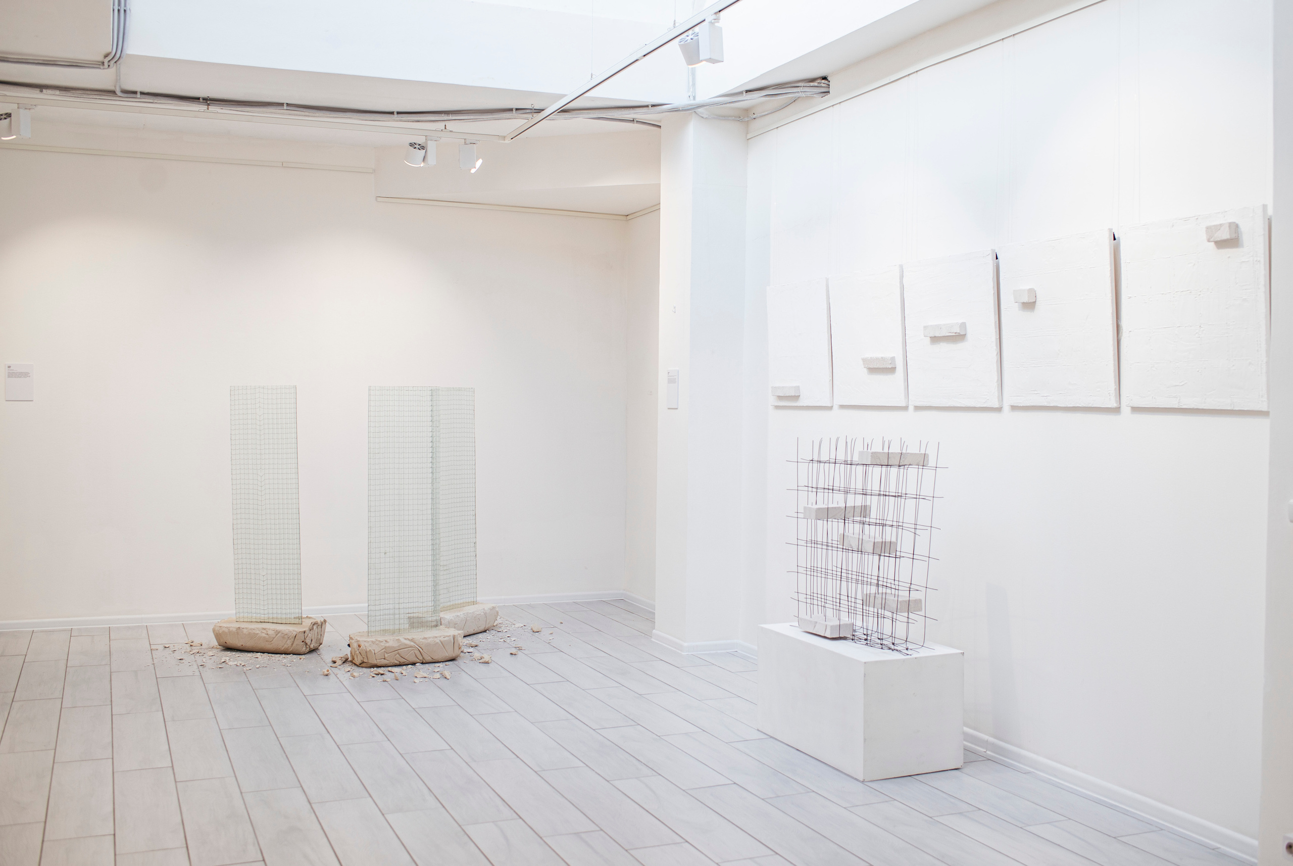 «Среда Заданного уровня». Фотограф в Москве Алейникова Евгения