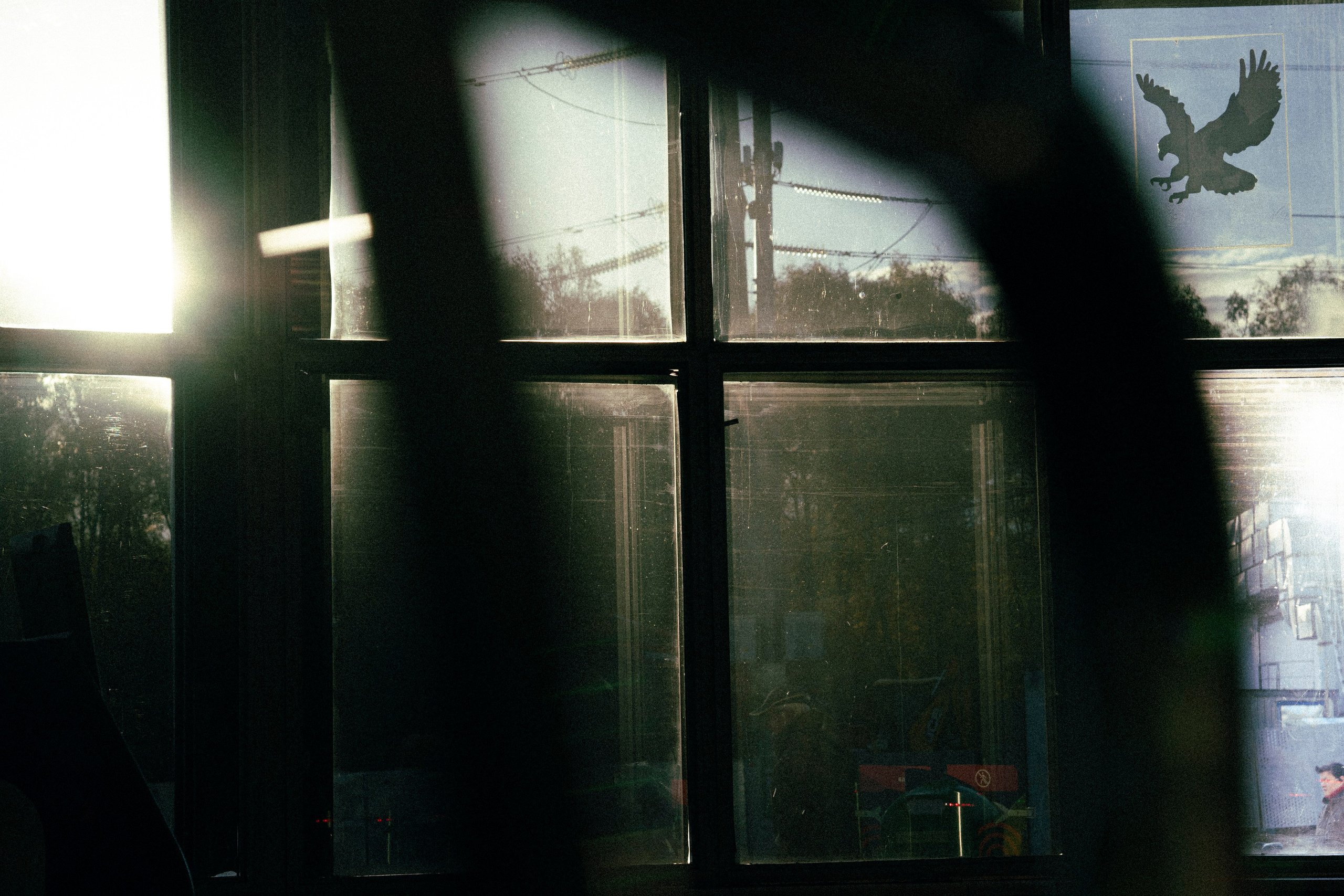 Разное неважное. Фотограф в Москве Алейникова Евгения