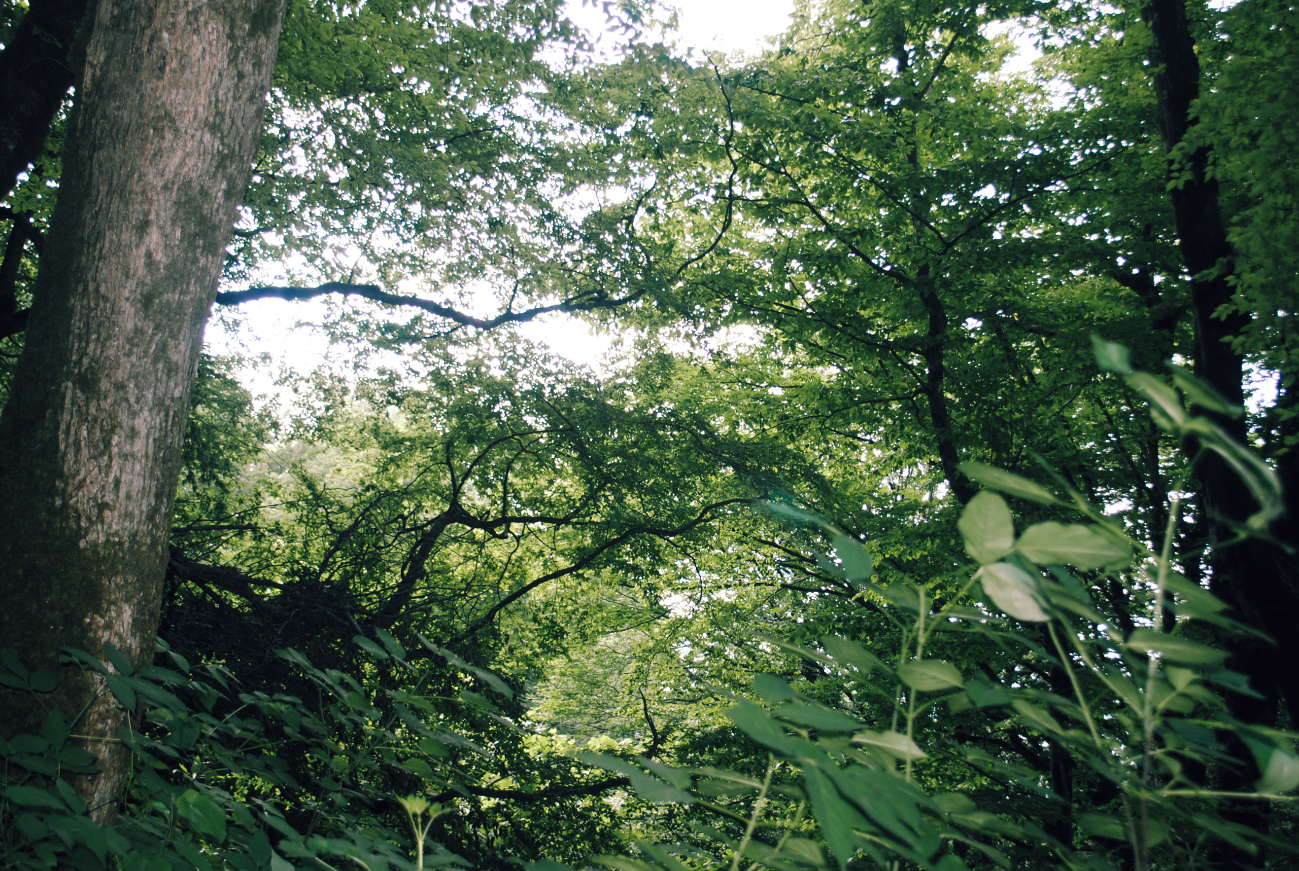 Being (study progect). Фотограф в Москве Алейникова Евгения