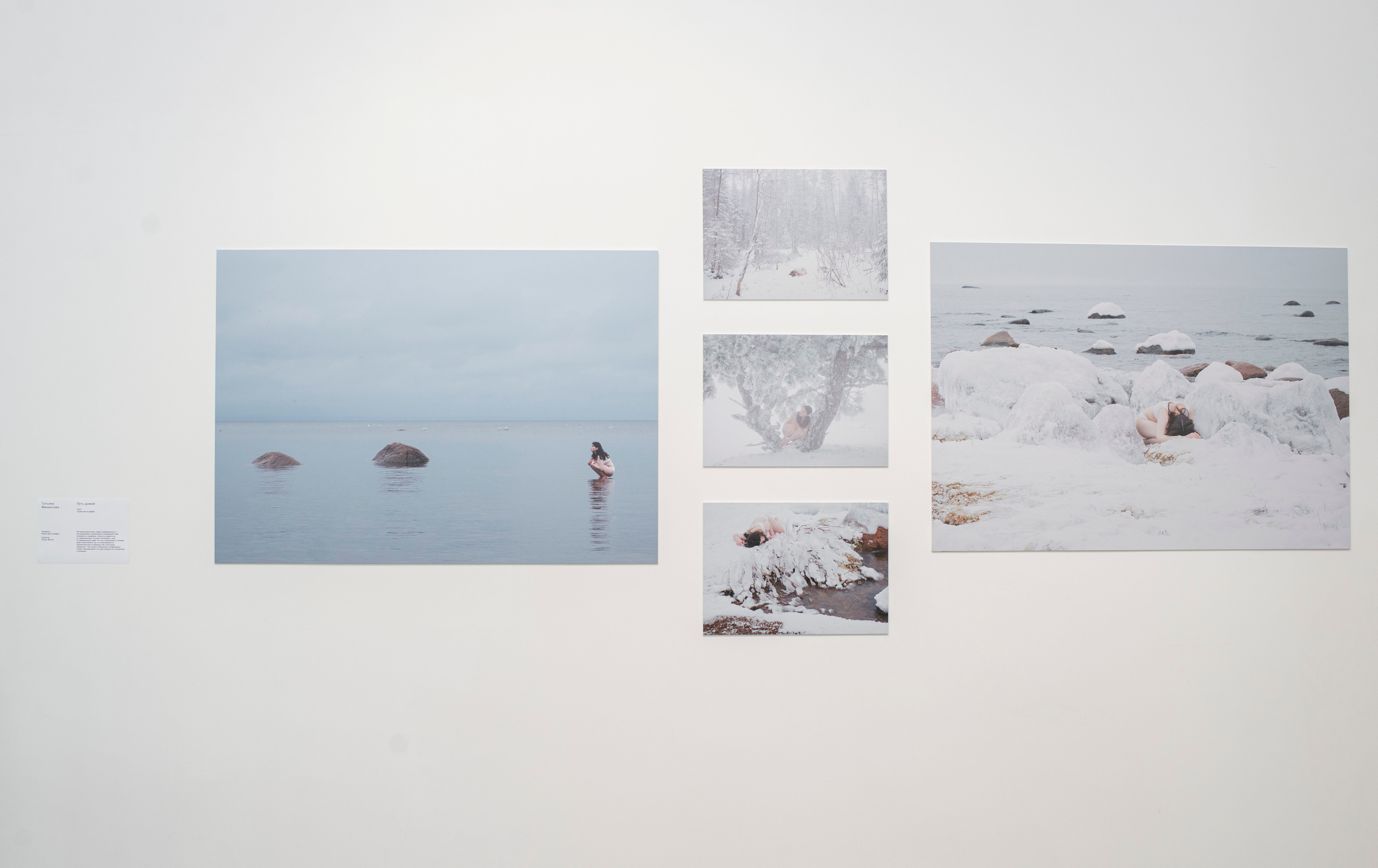 Выставка в музее–усадьбе Архангельское «Свет и воздух» Школа Дизайна НИУ ВШЭ. Фотограф в Москве Алейникова Евгения