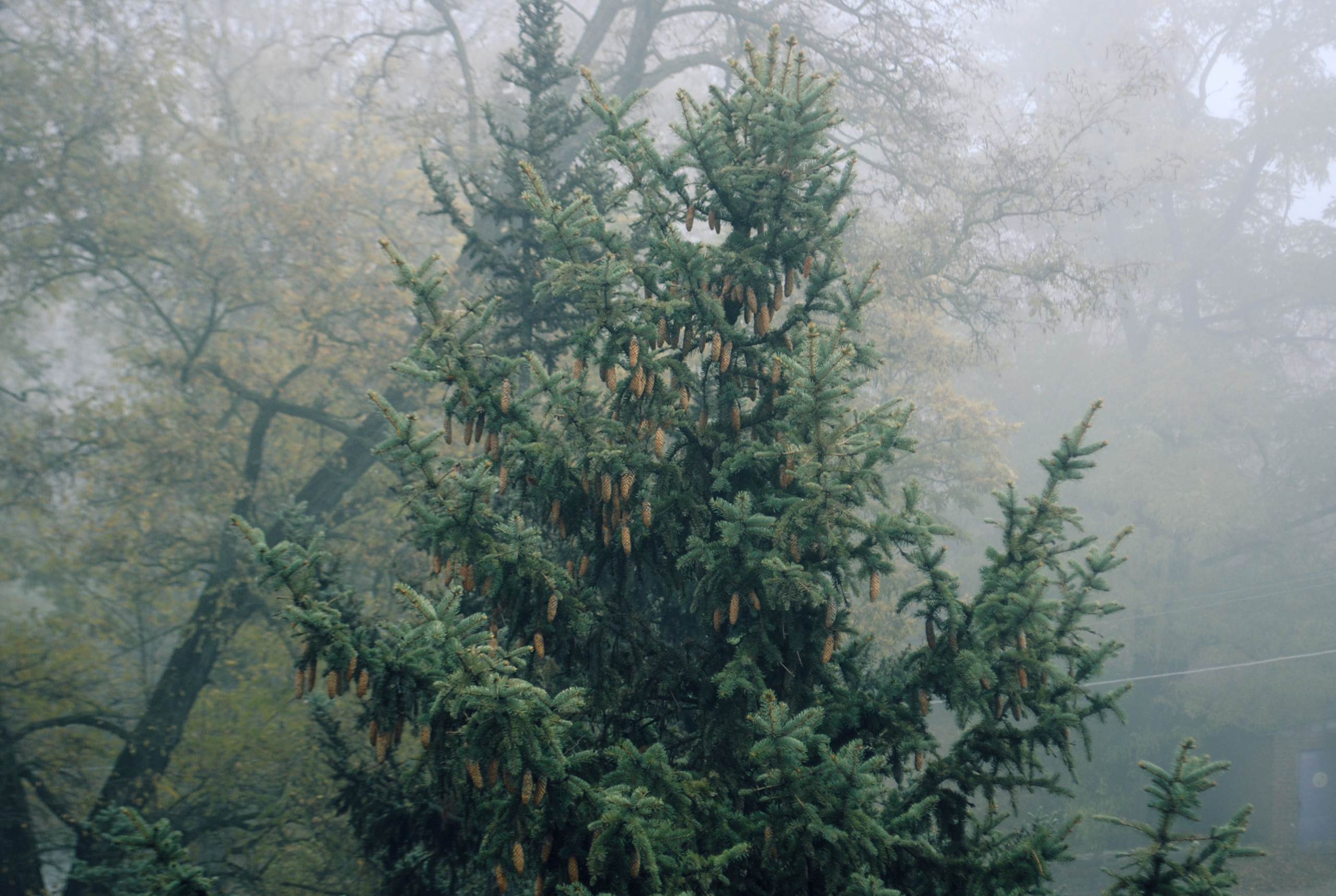 Being (study progect). Фотограф в Москве Алейникова Евгения