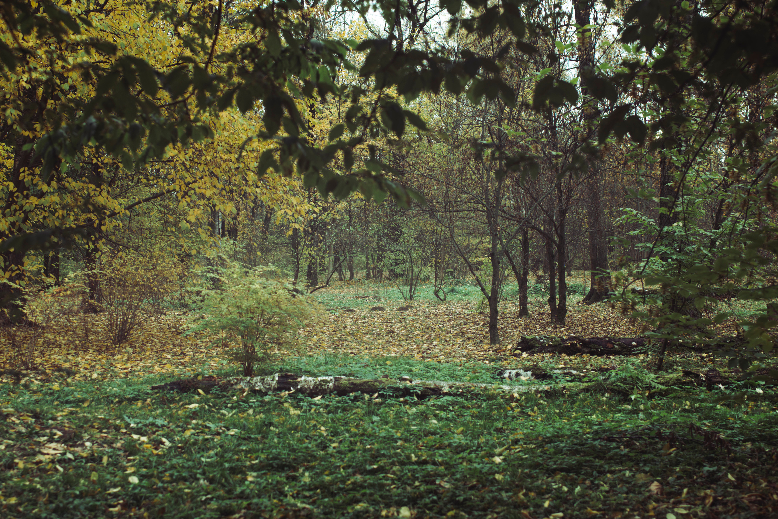 Being (study progect). Фотограф в Москве Алейникова Евгения