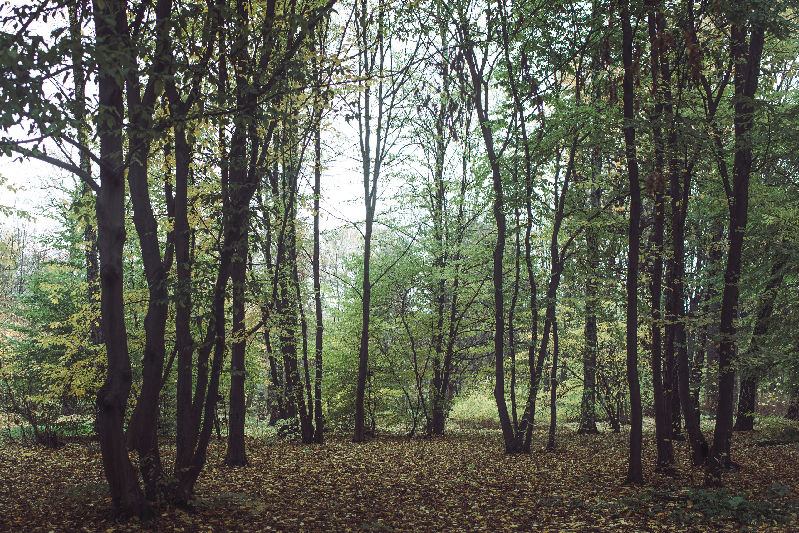 Being (study progect). Фотограф в Москве Алейникова Евгения