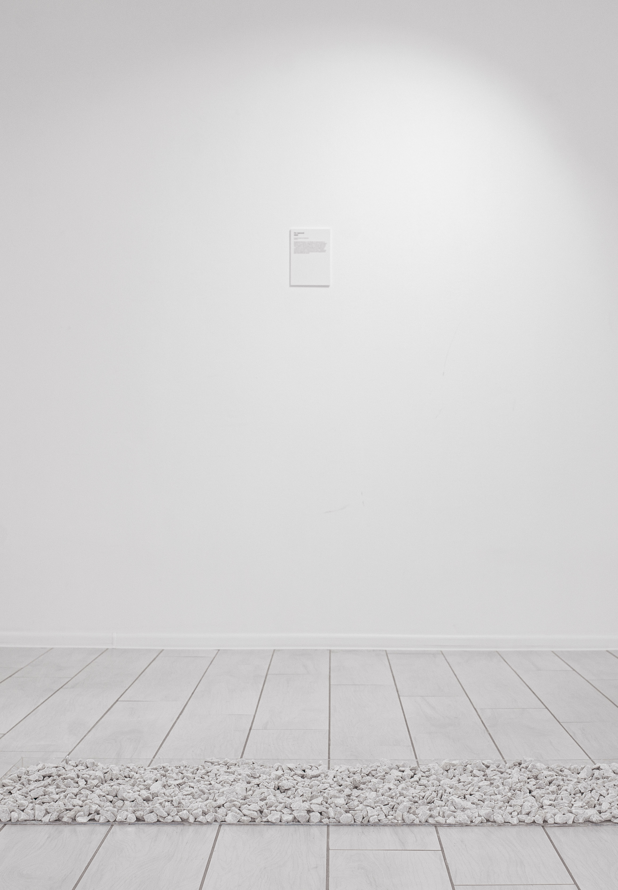 «Среда Заданного уровня». Фотограф в Москве Алейникова Евгения