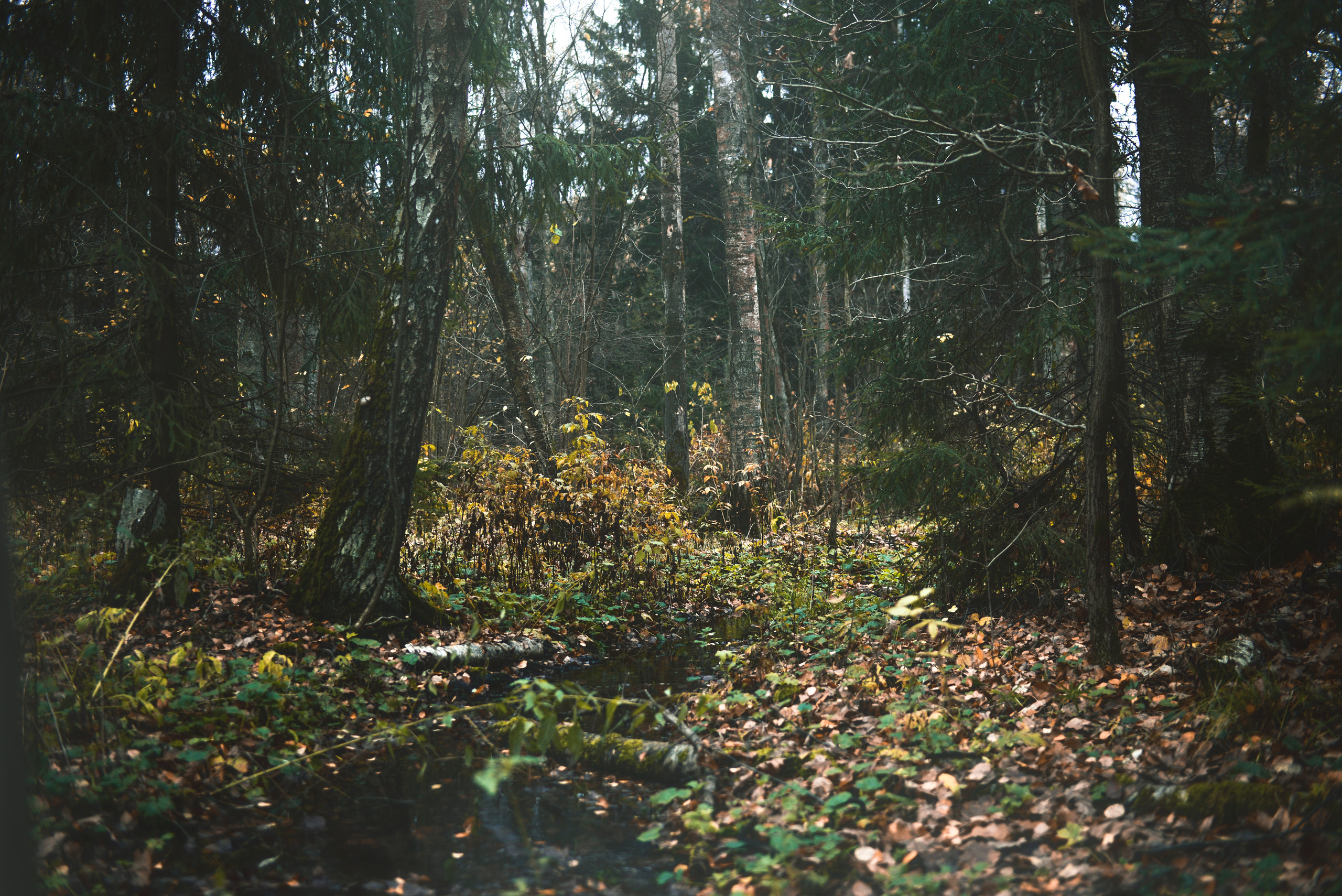 Being (study progect). Фотограф в Москве Алейникова Евгения