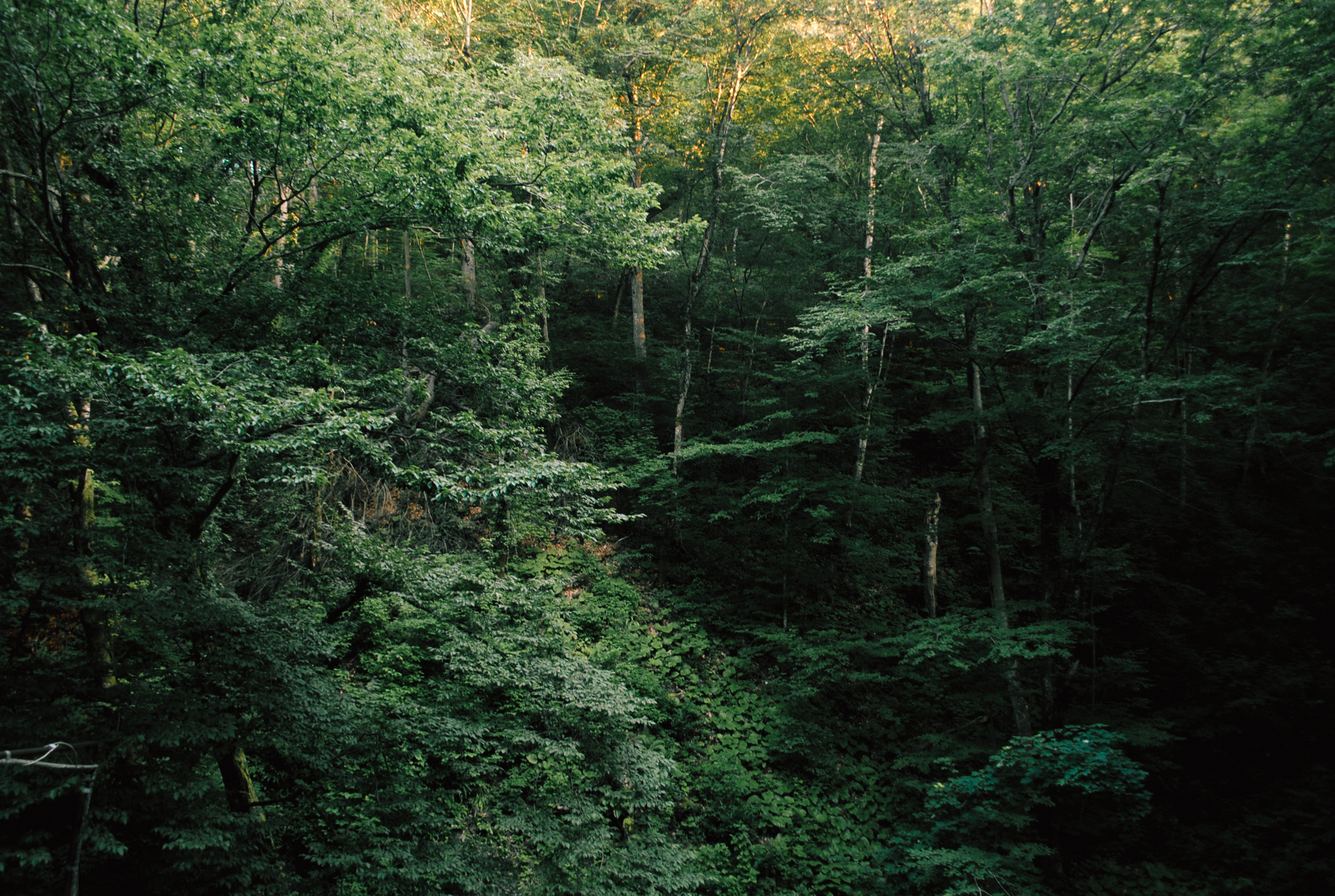 Being (study progect). Фотограф в Москве Алейникова Евгения