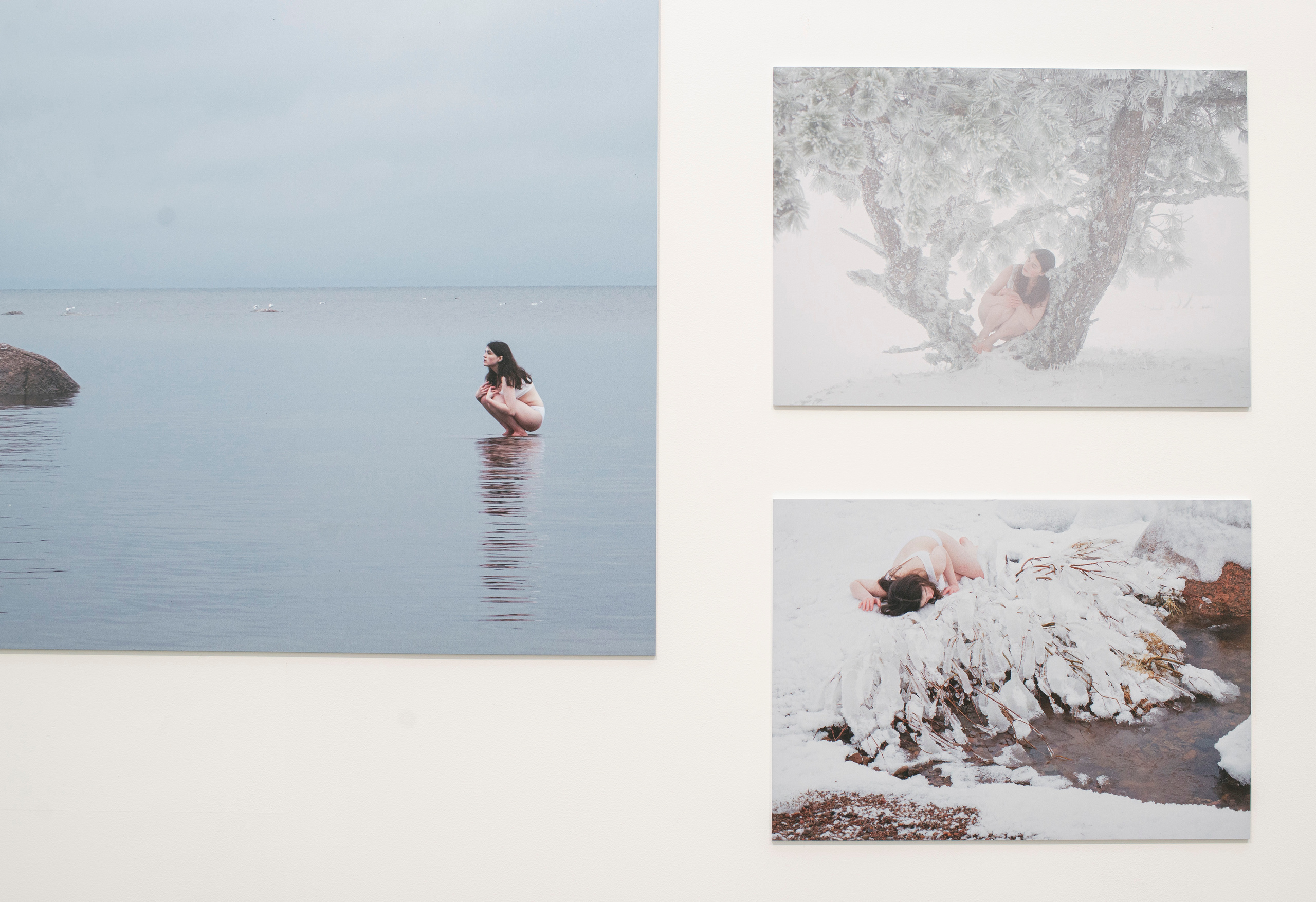 Выставка в музее–усадьбе Архангельское «Свет и воздух» Школа Дизайна НИУ ВШЭ. Фотограф в Москве Алейникова Евгения