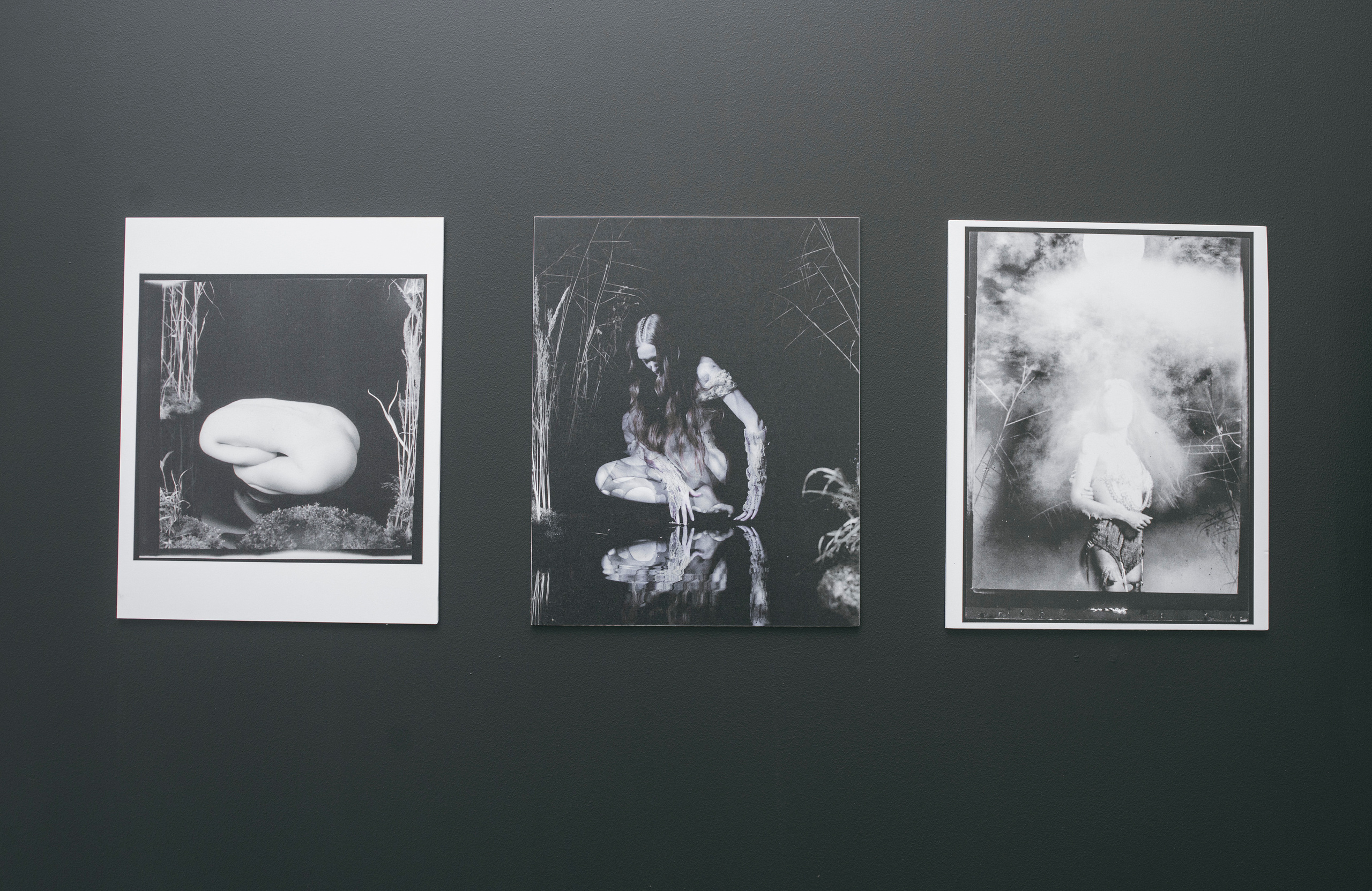 Выставка «Свет и воздух"в Архангельском от НИУ ВШЭ Школа Дизайна. Фотограф в Москве Алейникова Евгения