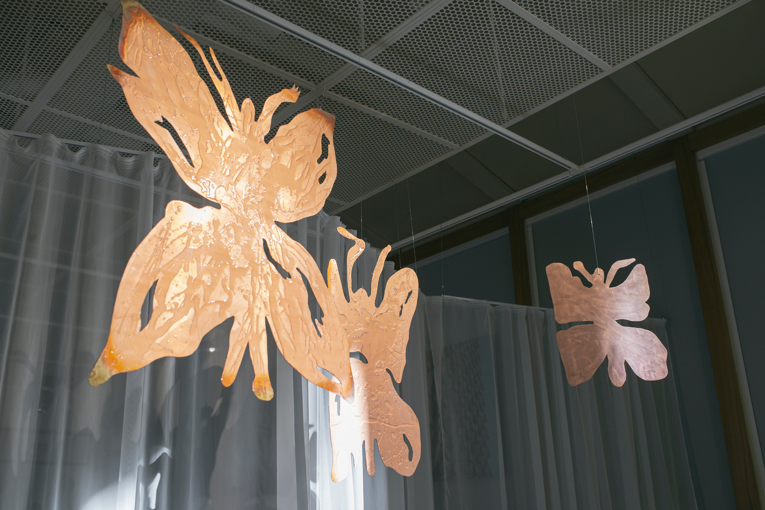 Выставка «Свет и воздух"в Архангельском от НИУ ВШЭ Школа Дизайна. Фотограф в Москве Алейникова Евгения