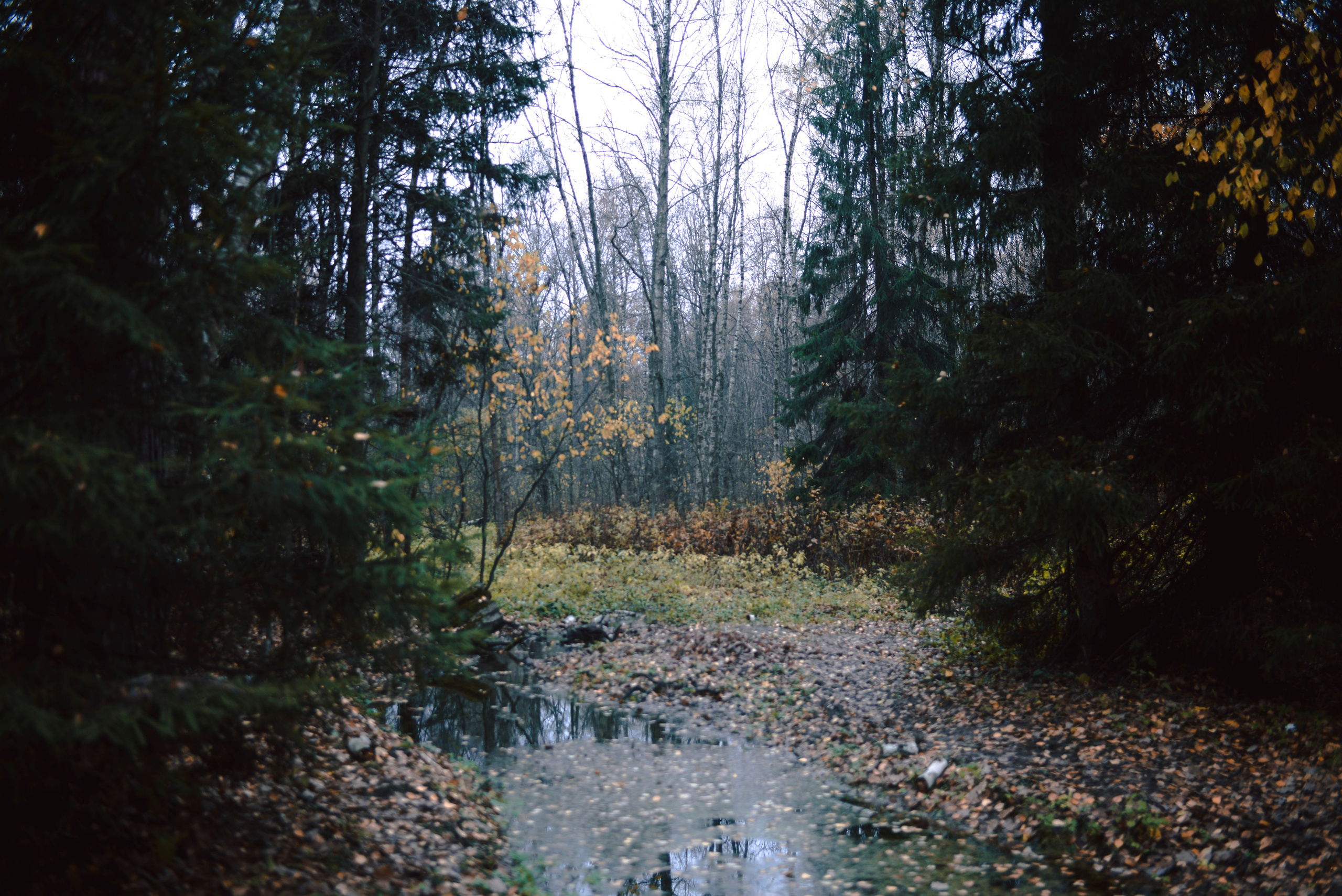 Being (study progect). Фотограф в Москве Алейникова Евгения