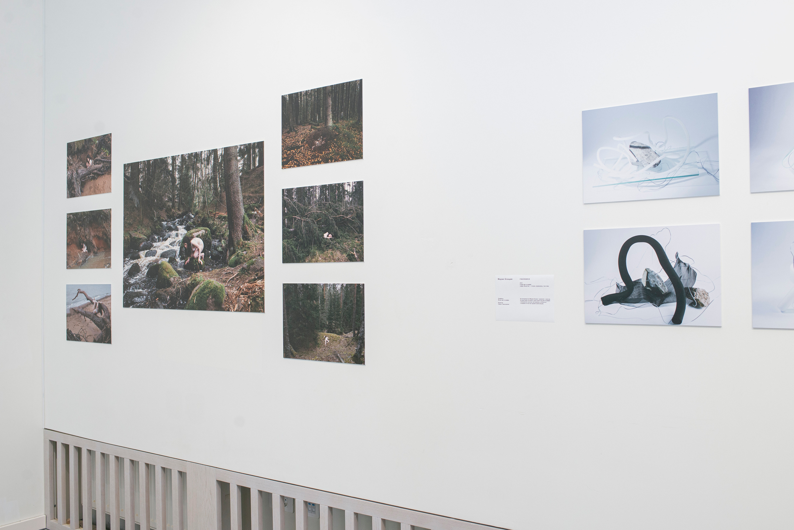 Выставка «Свет и воздух"в Архангельском от НИУ ВШЭ Школа Дизайна. Фотограф в Москве Алейникова Евгения