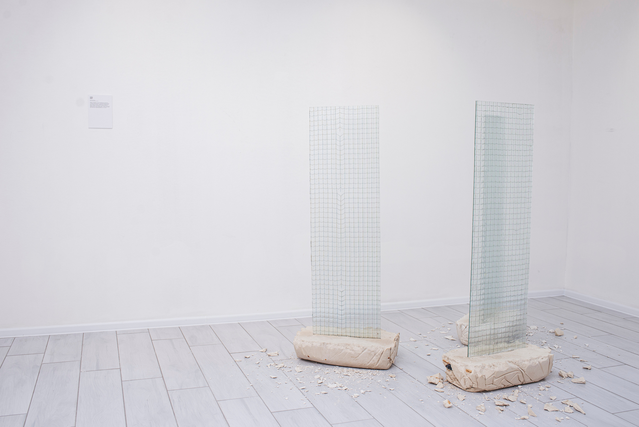 «Среда Заданного уровня». Фотограф в Москве Алейникова Евгения