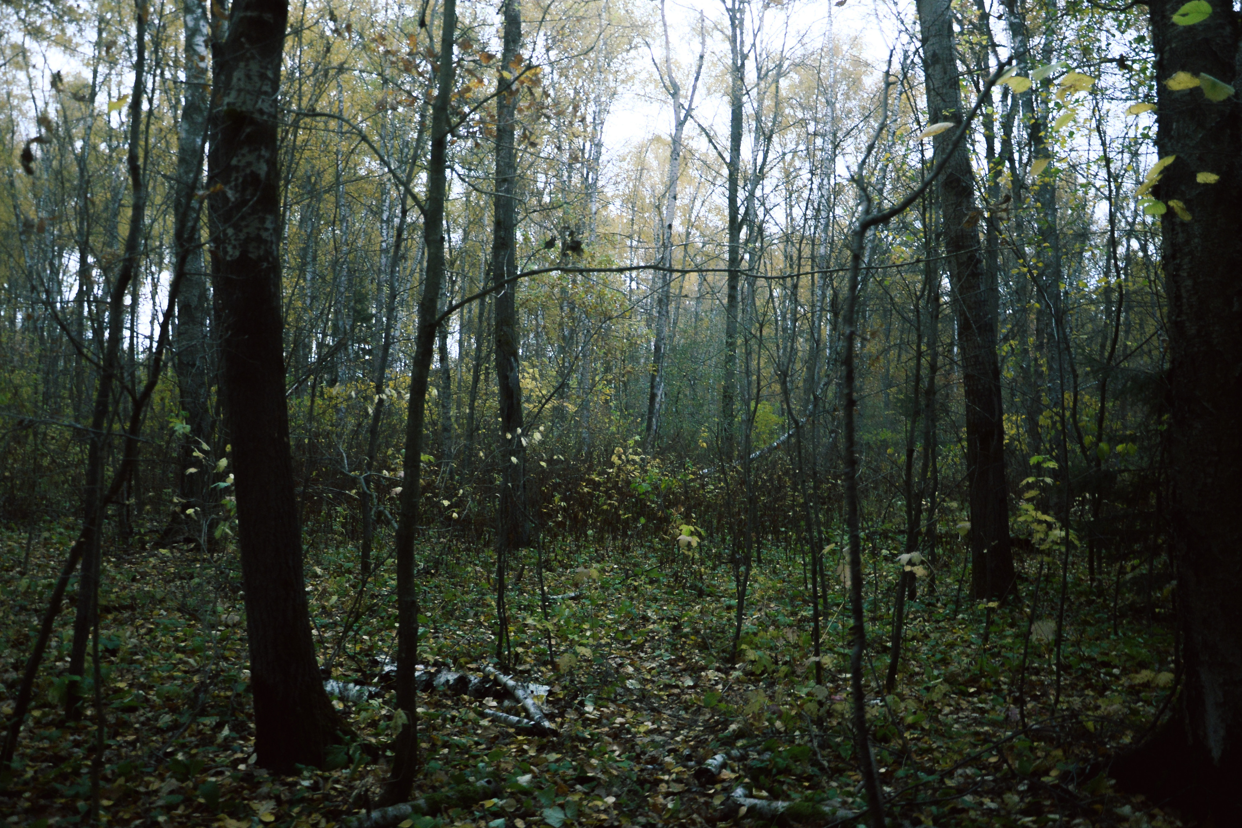 Being (study progect). Фотограф в Москве Алейникова Евгения