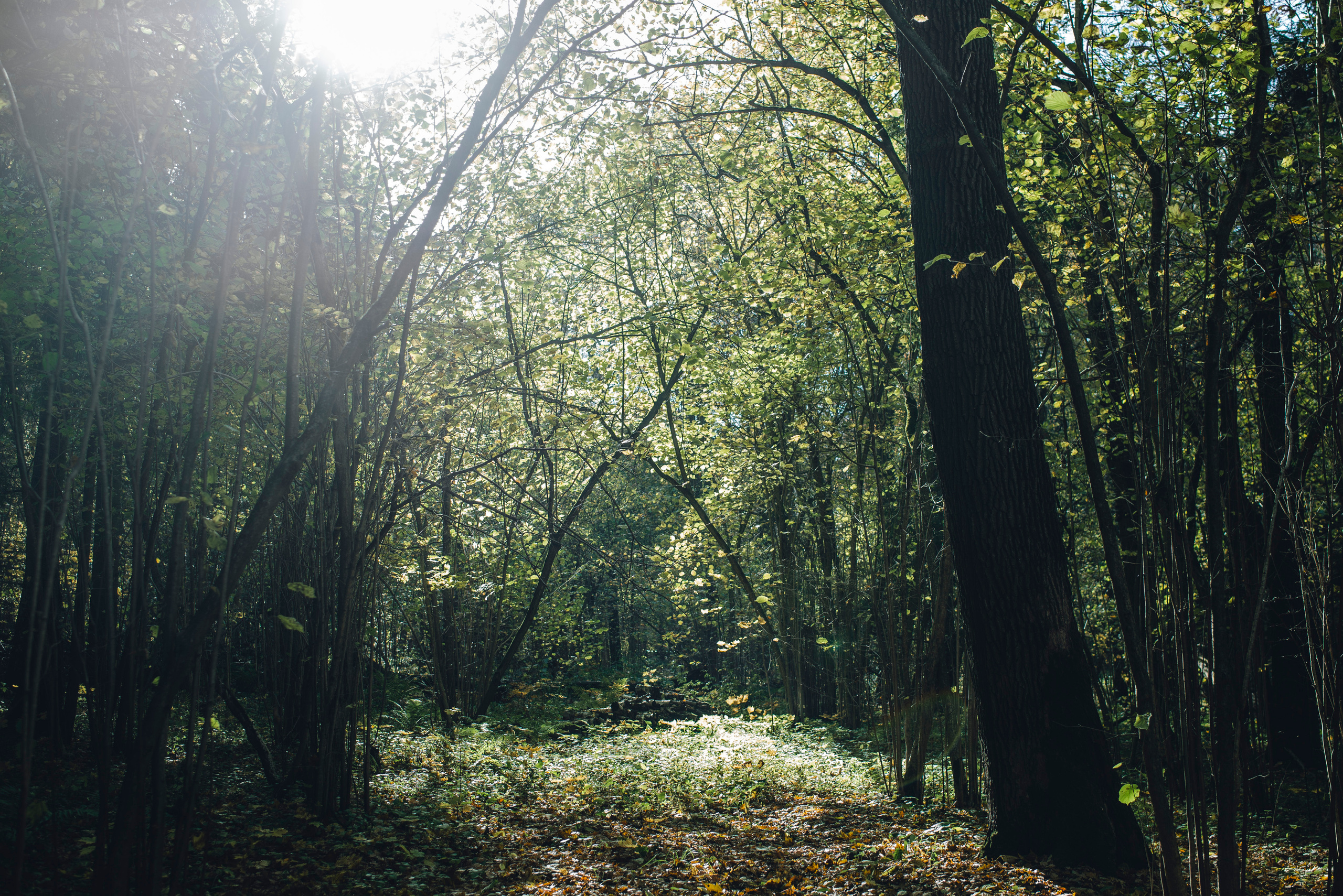 Being (study progect). Фотограф в Москве Алейникова Евгения