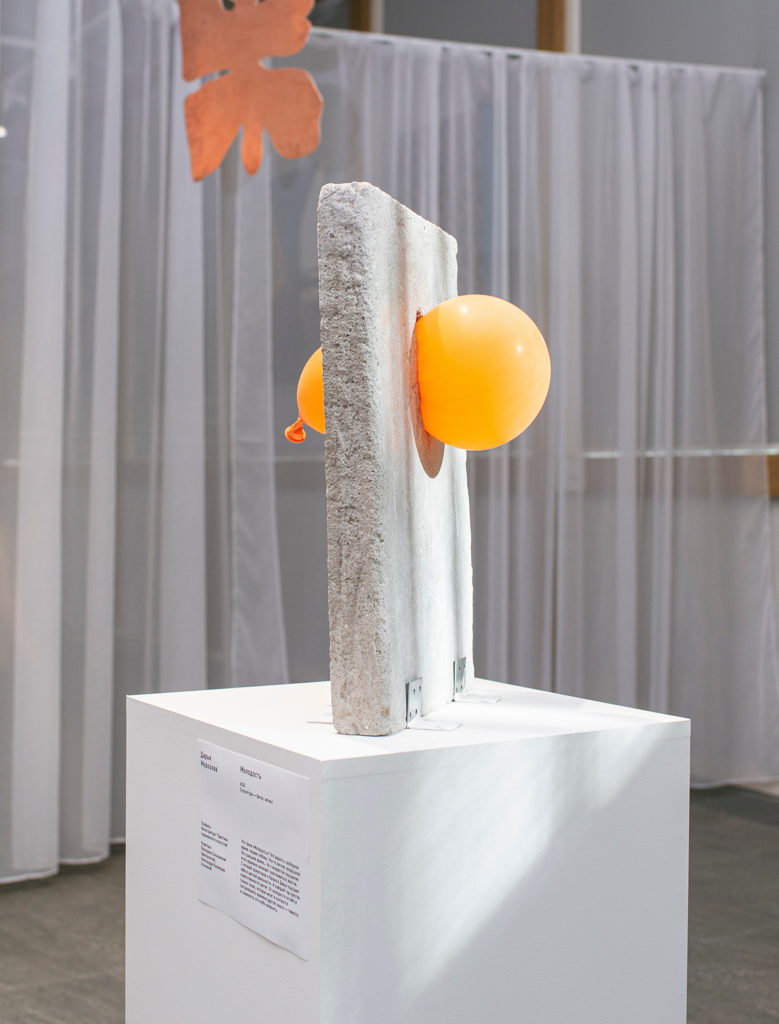 Выставка в музее–усадьбе Архангельское «Свет и воздух» Школа Дизайна НИУ ВШЭ. Фотограф в Москве Алейникова Евгения